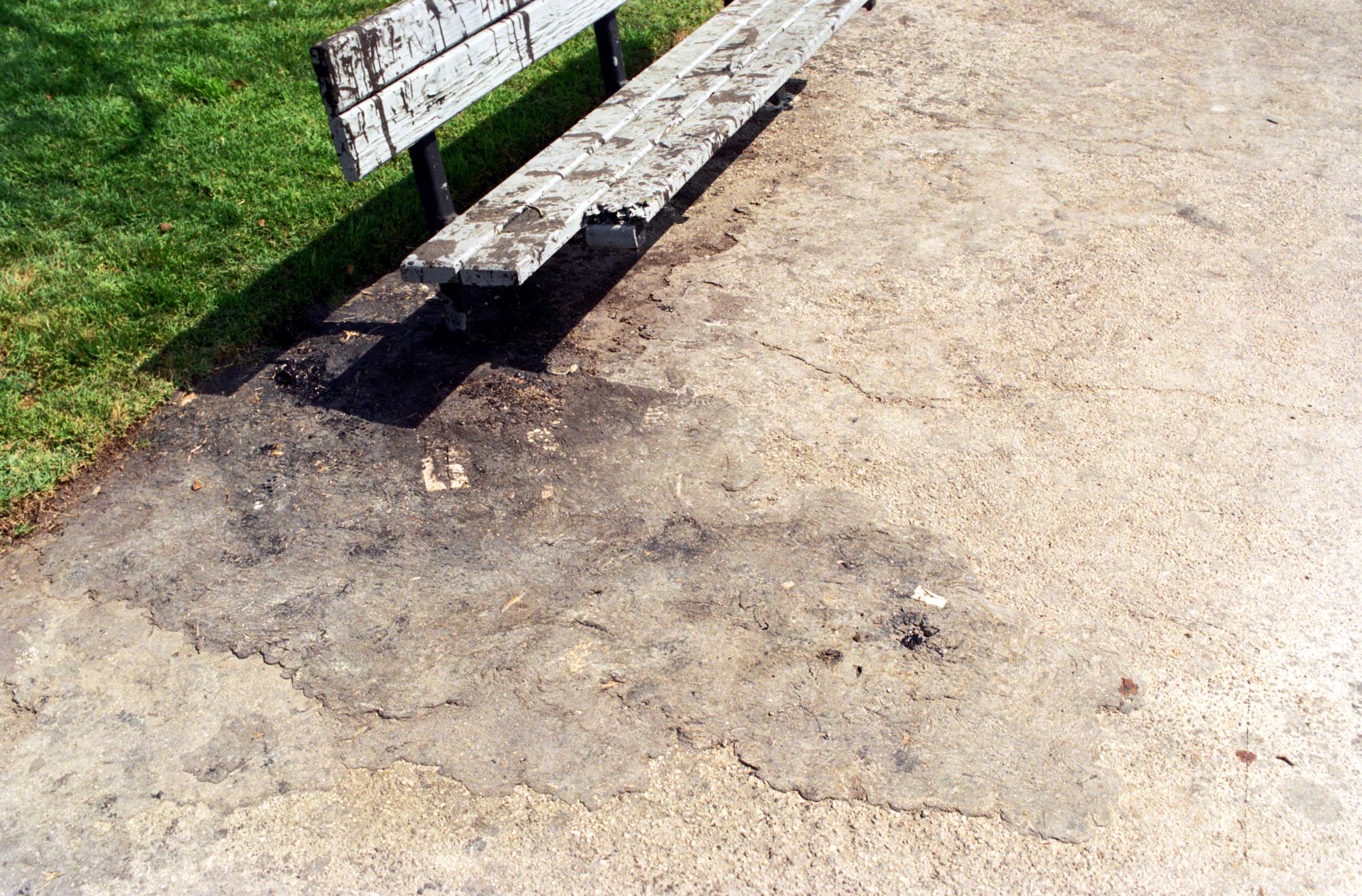 California (1992-2014) - Leaking Tar #2