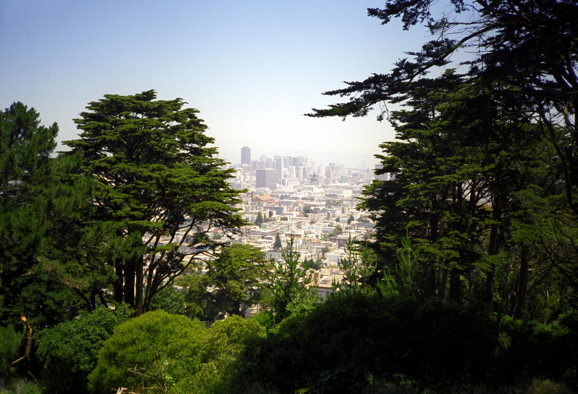 California (1992-2014) - Skyline #1