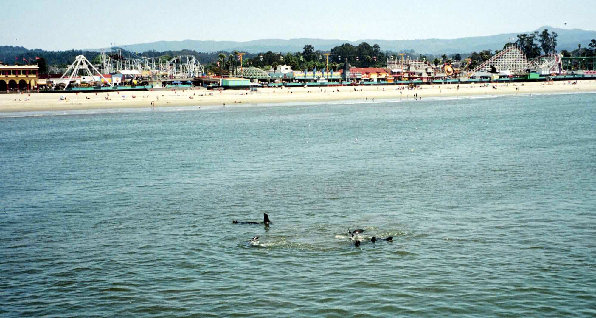 California (1992-2014) - Santa Cruz