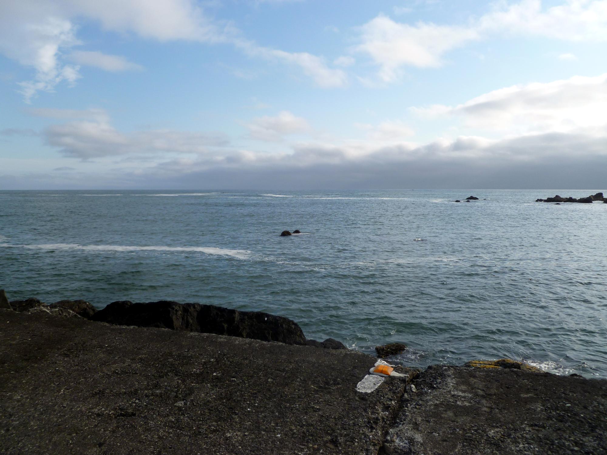 California (1992-2014) - Pacific Oceaan