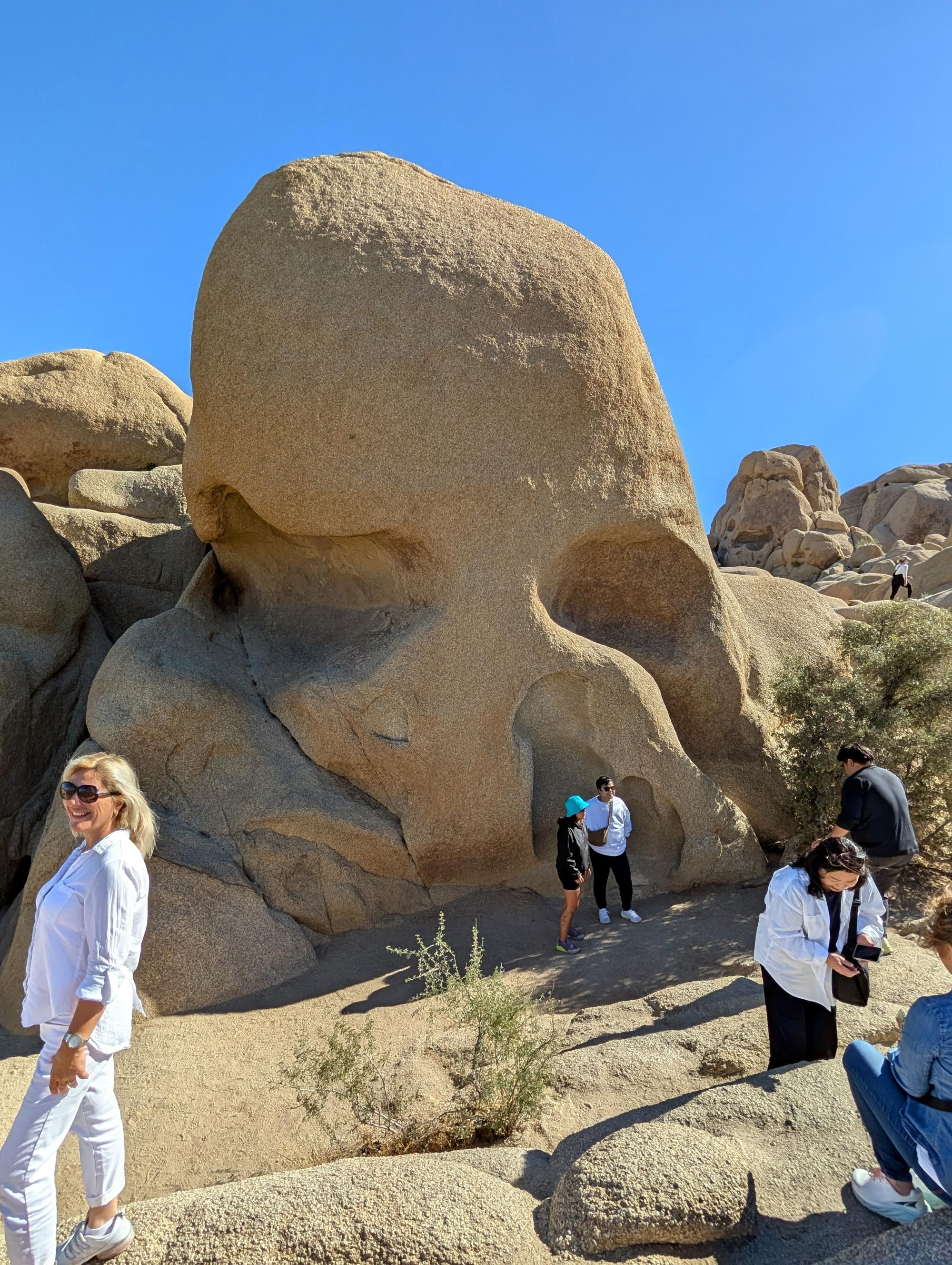 California (2015-Present) - Joshua Tree #02