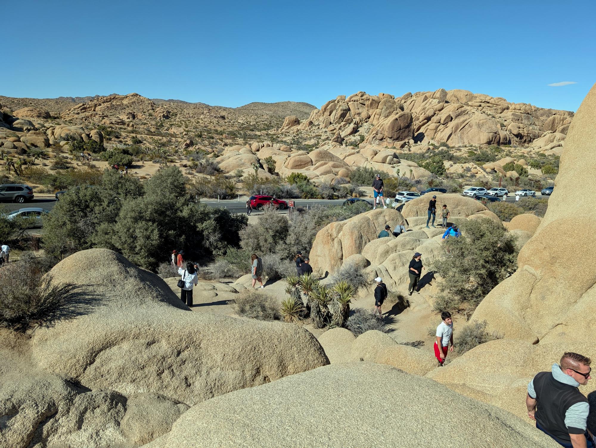 California (2015-Present) - Joshua Tree #06