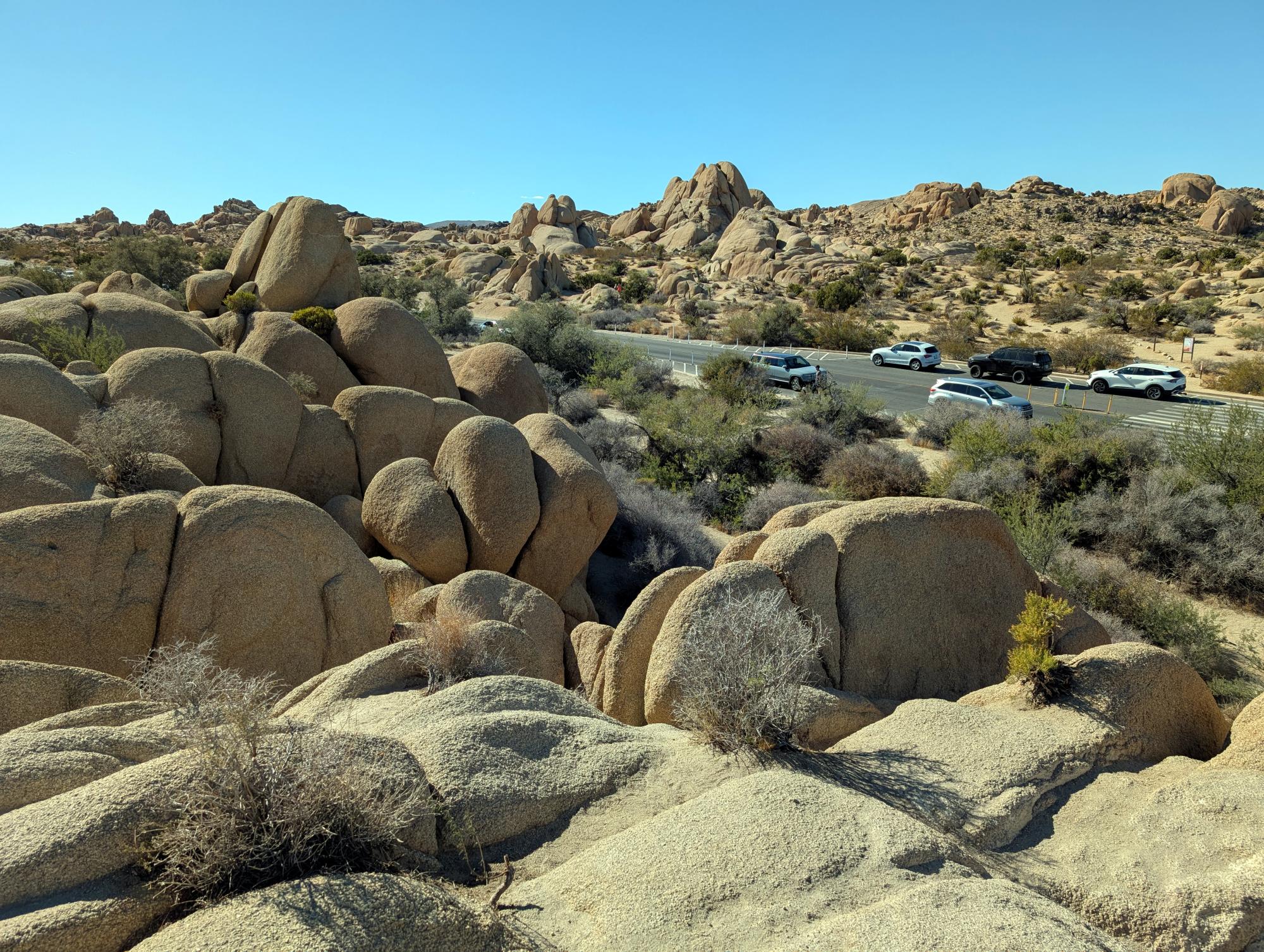 California (2015-Present) - Joshua Tree #07