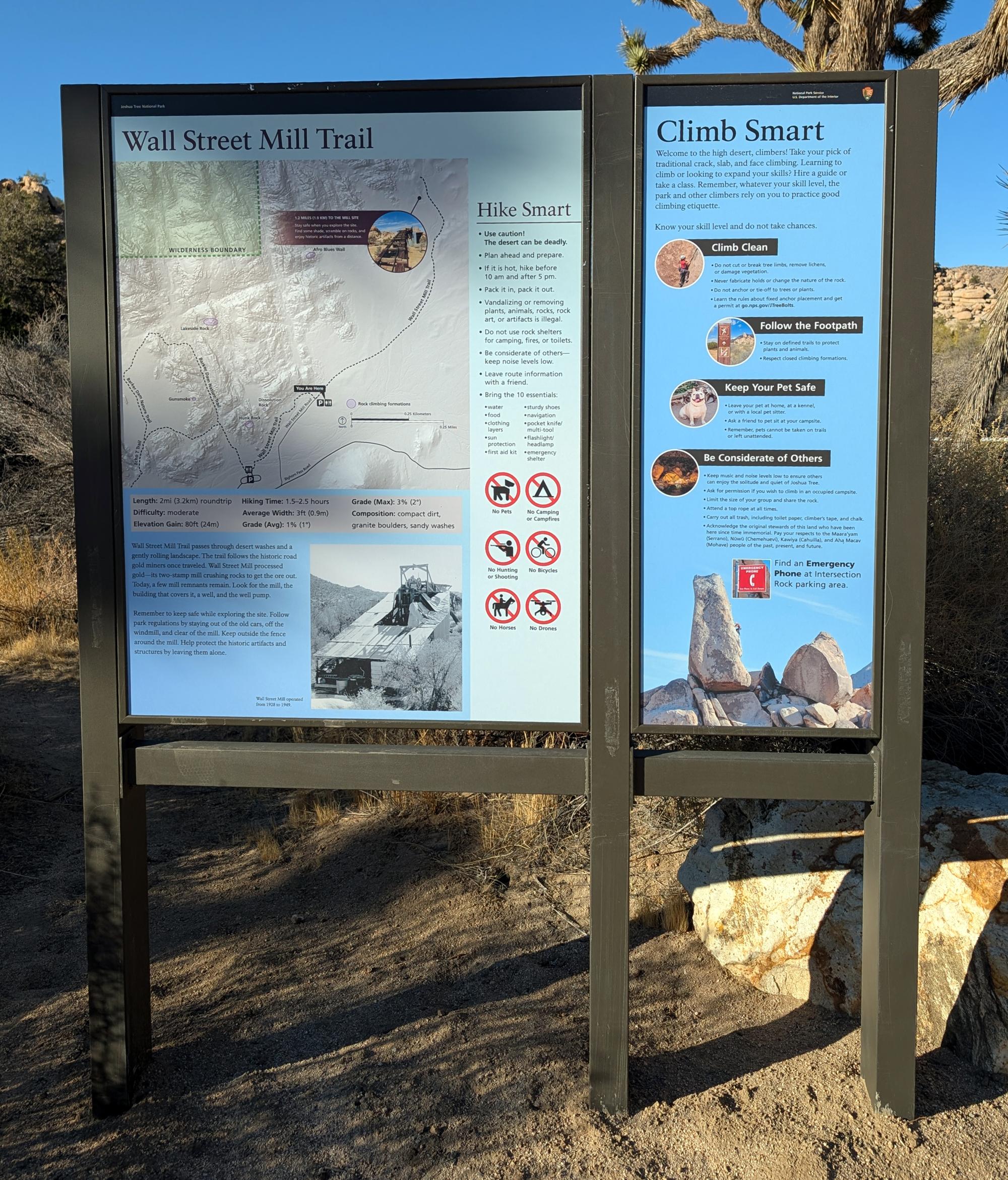 California (2015-Present) - Joshua Tree #11