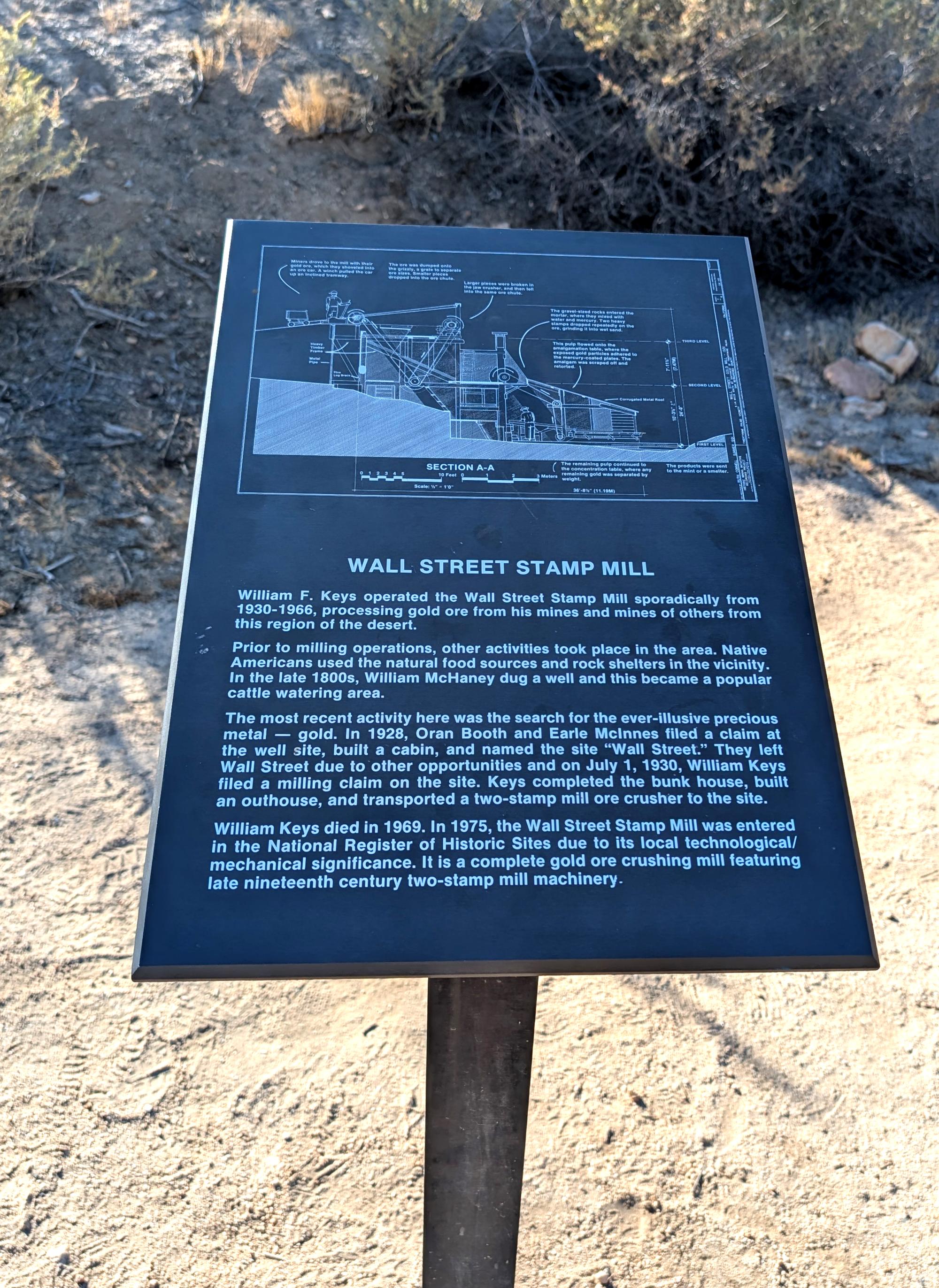 California (2015-Present) - Joshua Tree #12