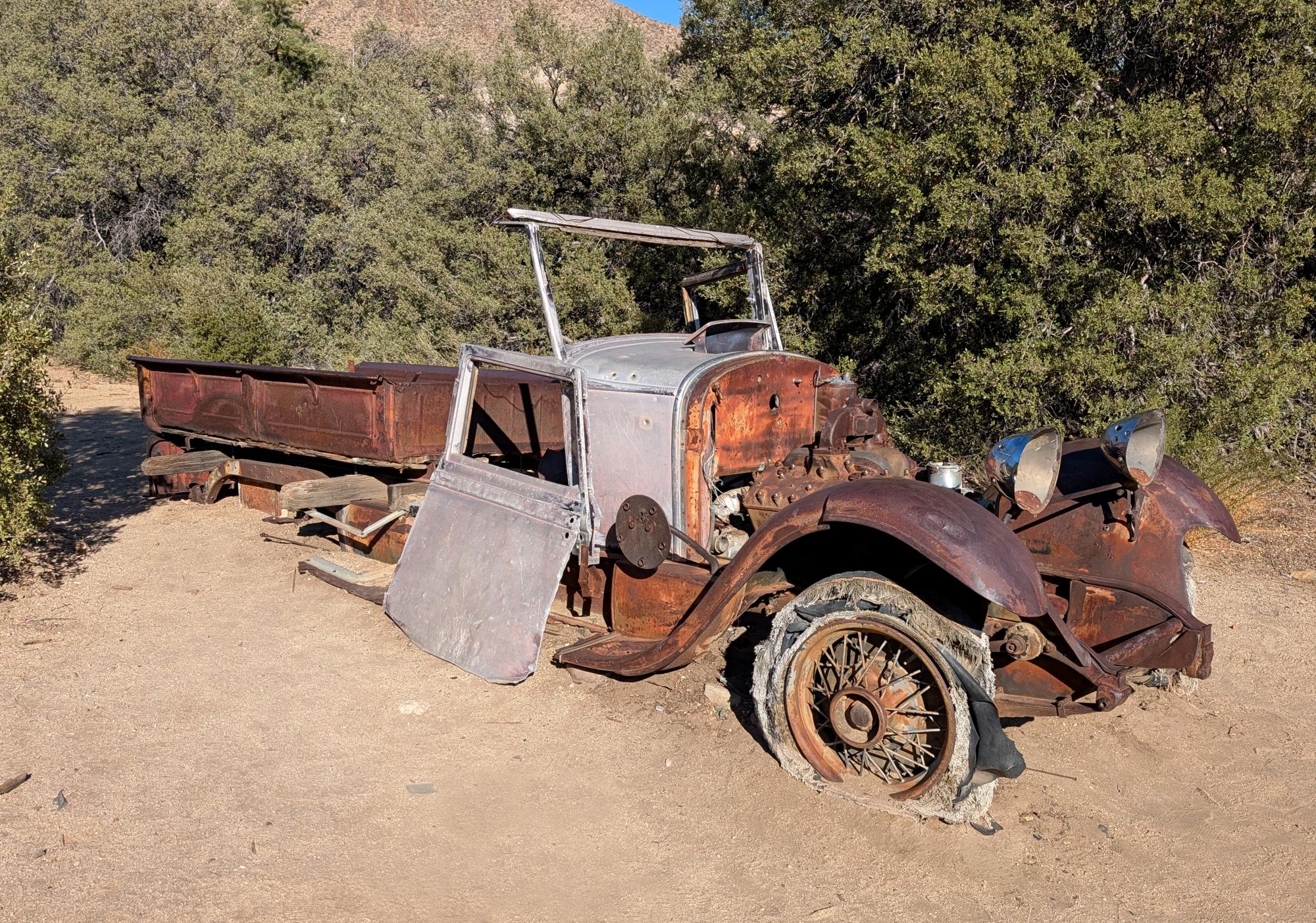 California (2015-Present) - Joshua Tree #13