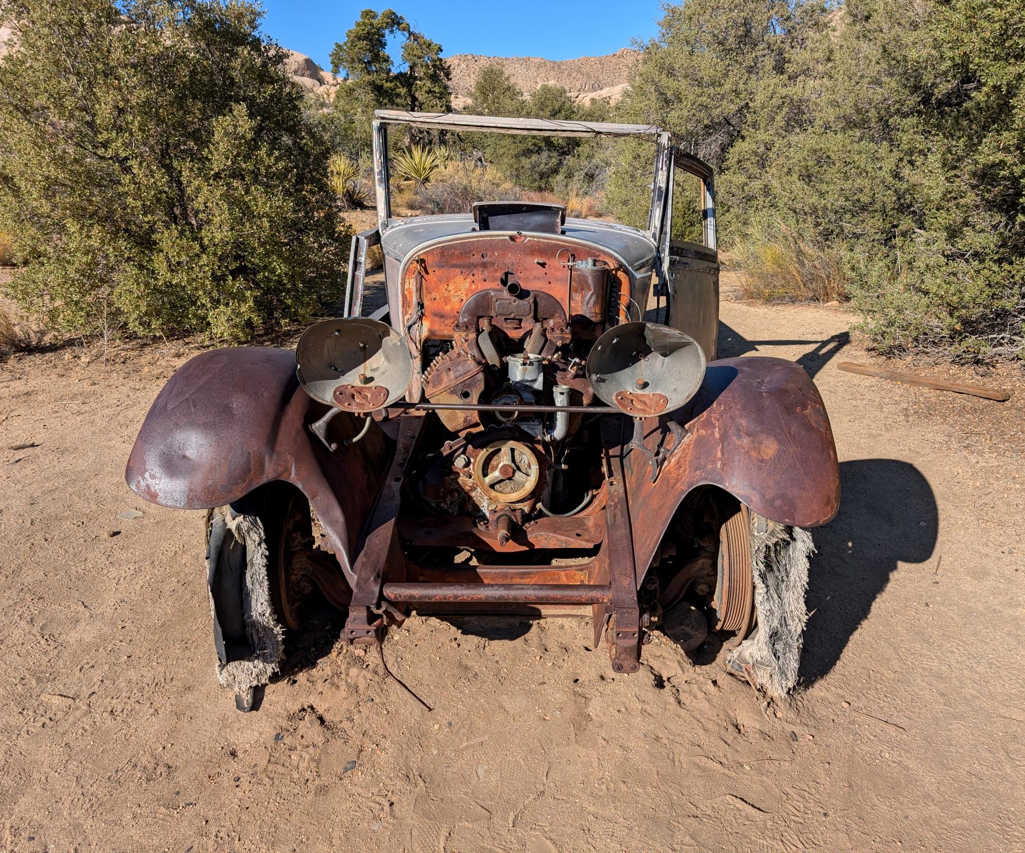 California (2015-Present) - Joshua Tree #14