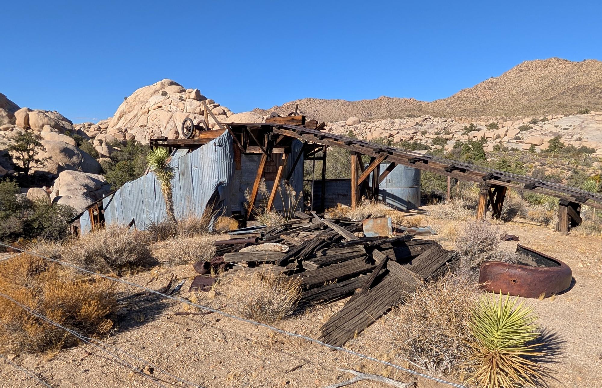 California (2015-Present) - Joshua Tree #16