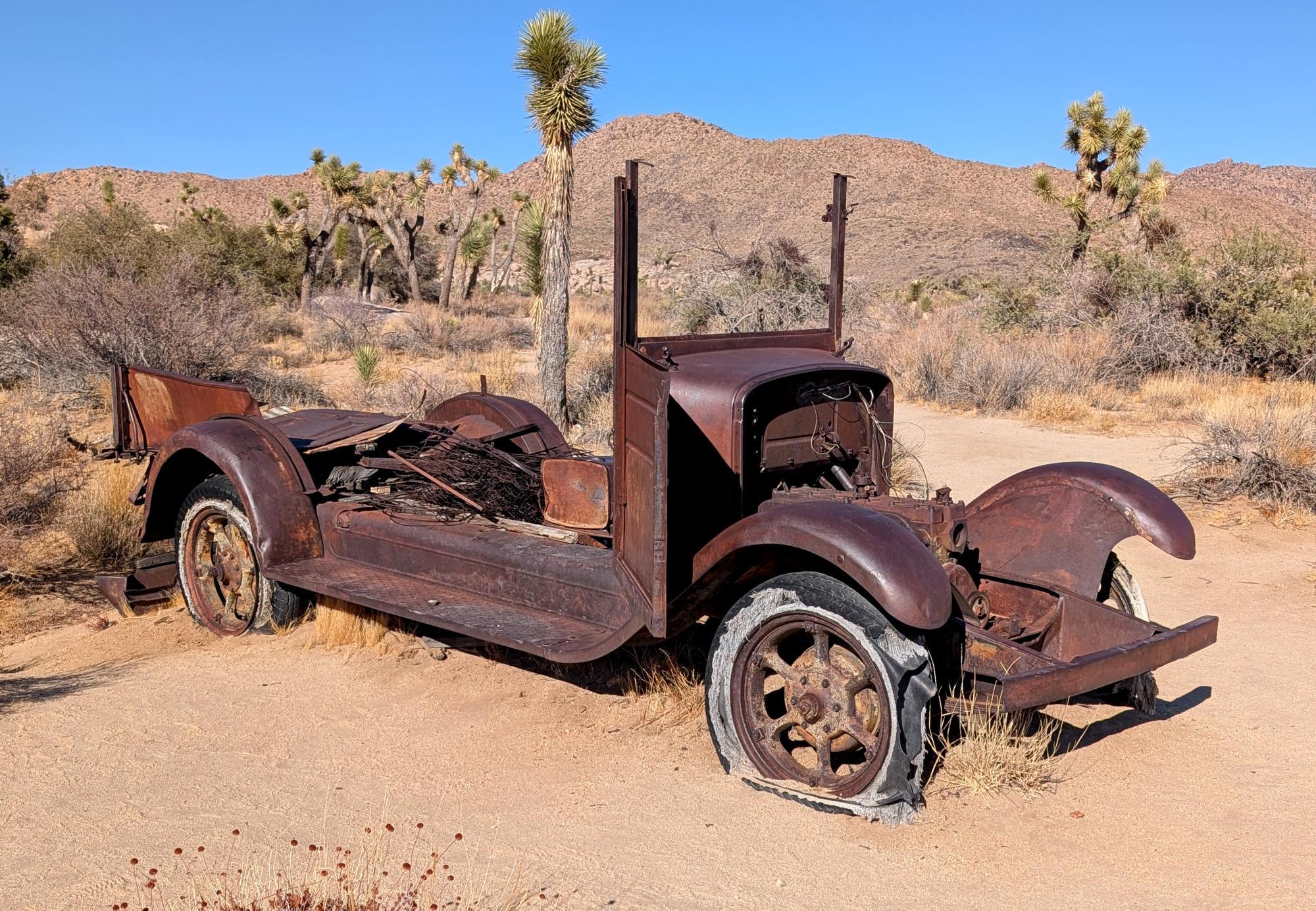 California (2015-Present) - Joshua Tree #17