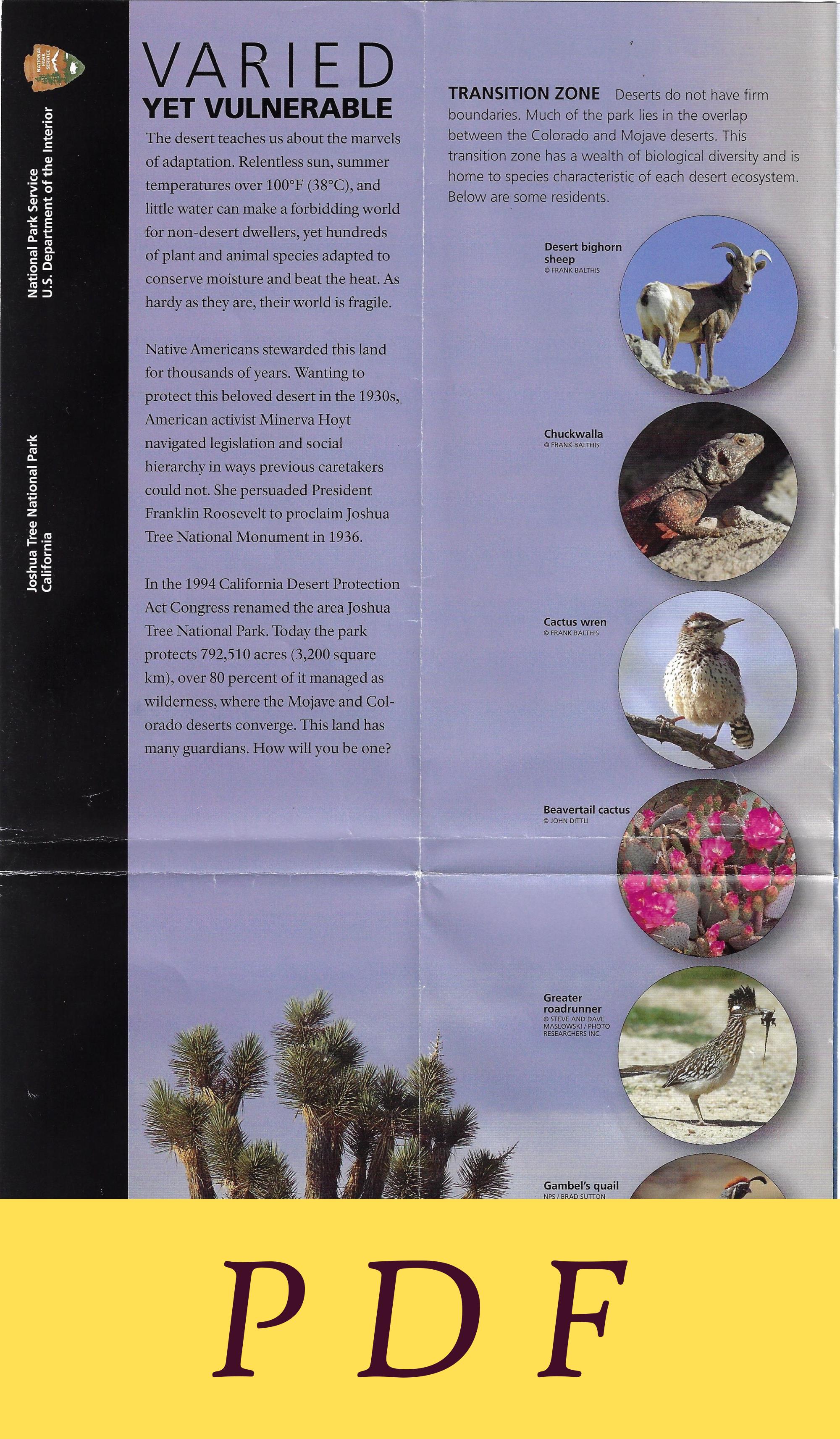 California (2015-Present) - Joshua Tree Brochure