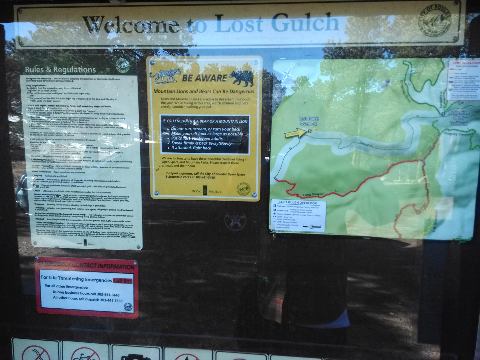 Colorado - Lost Gulch #6