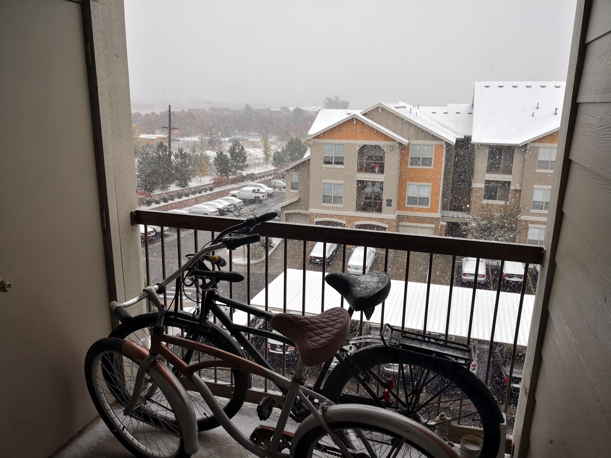 Colorado - Snowy Day
