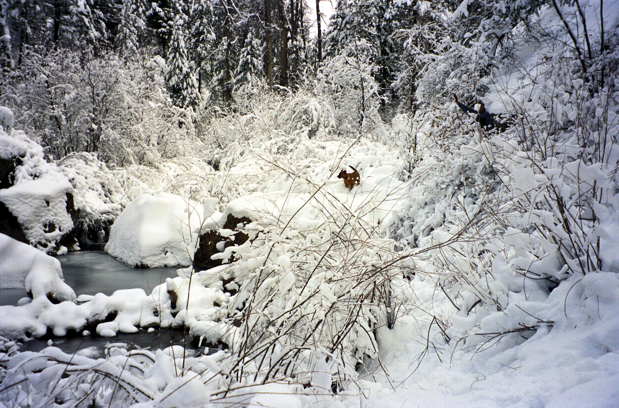 Colorado (1992-2019) - Snowy Durango #2