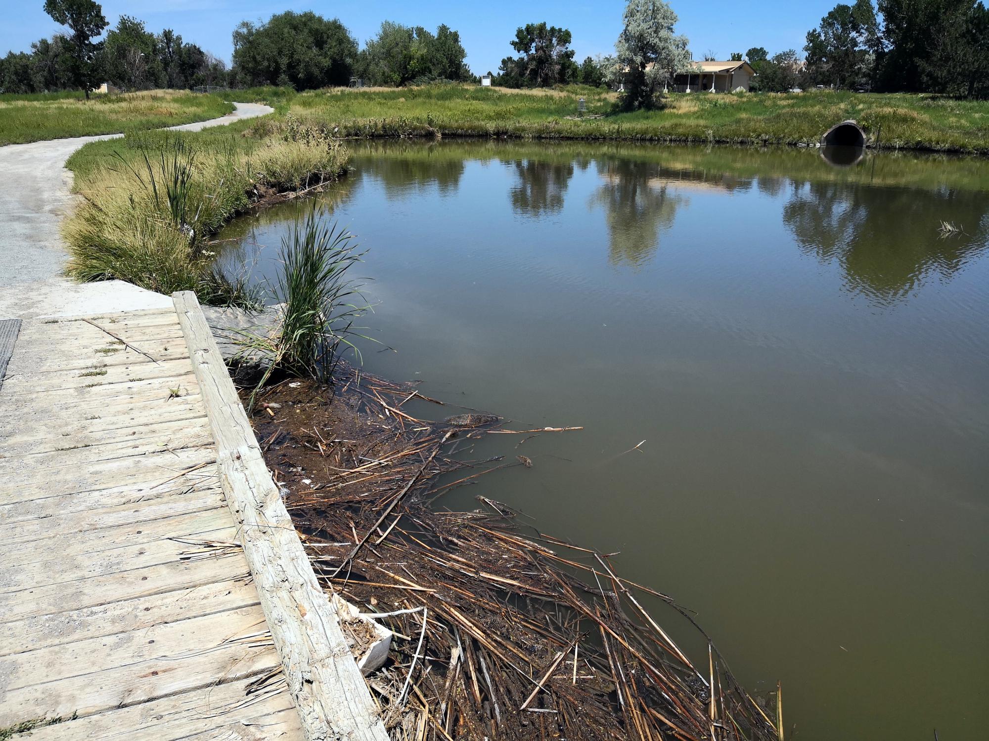 Colorado (1992-2019) - Center Hills Disc Course