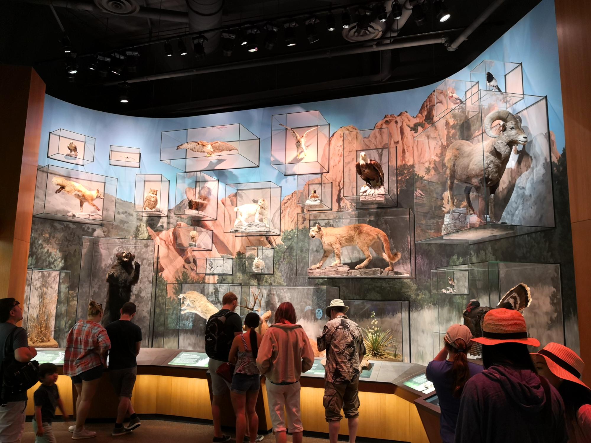 Colorado (1992-2019) - Visitor Center