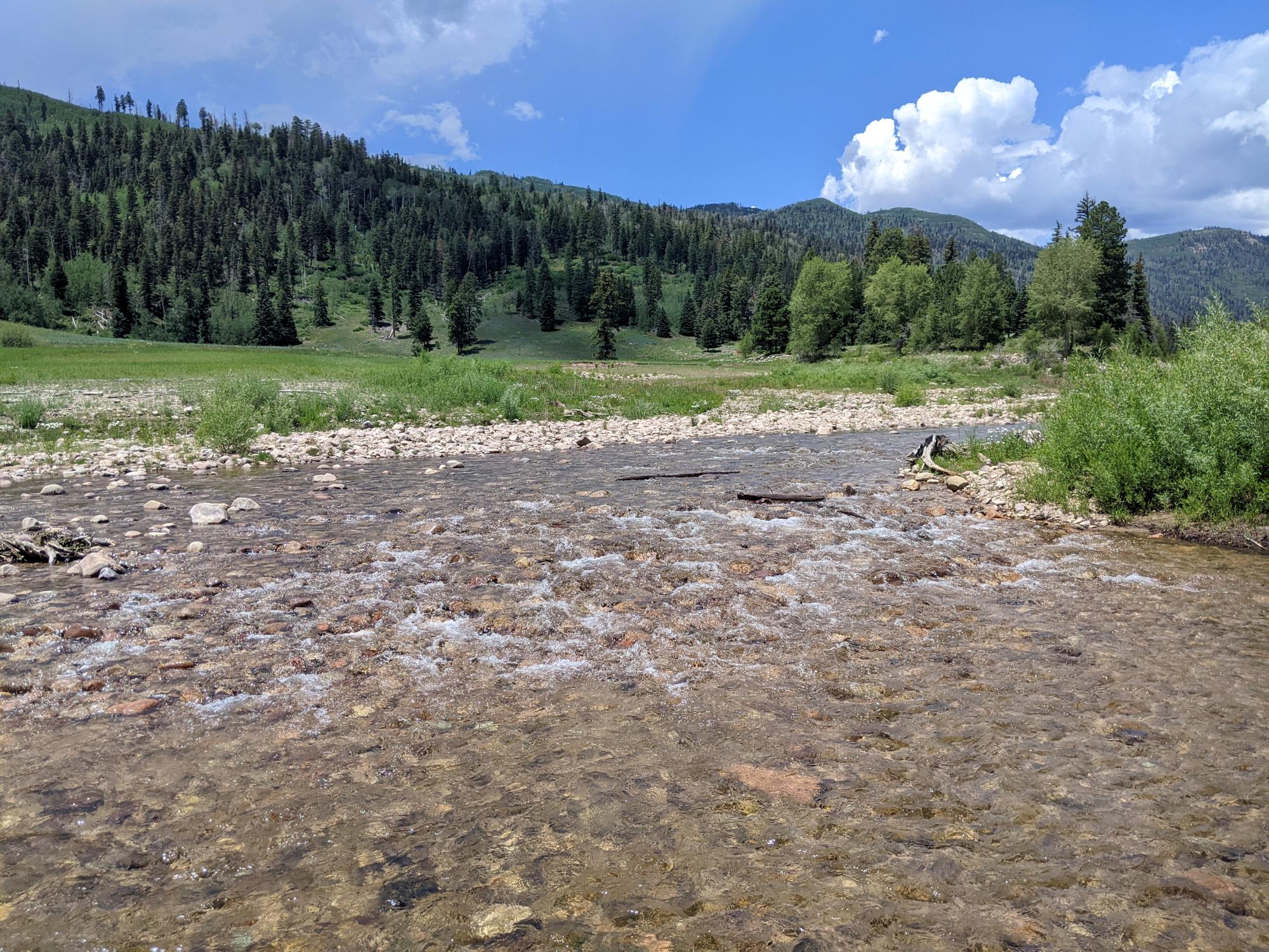 Colorado (2022-Present) - Florida River