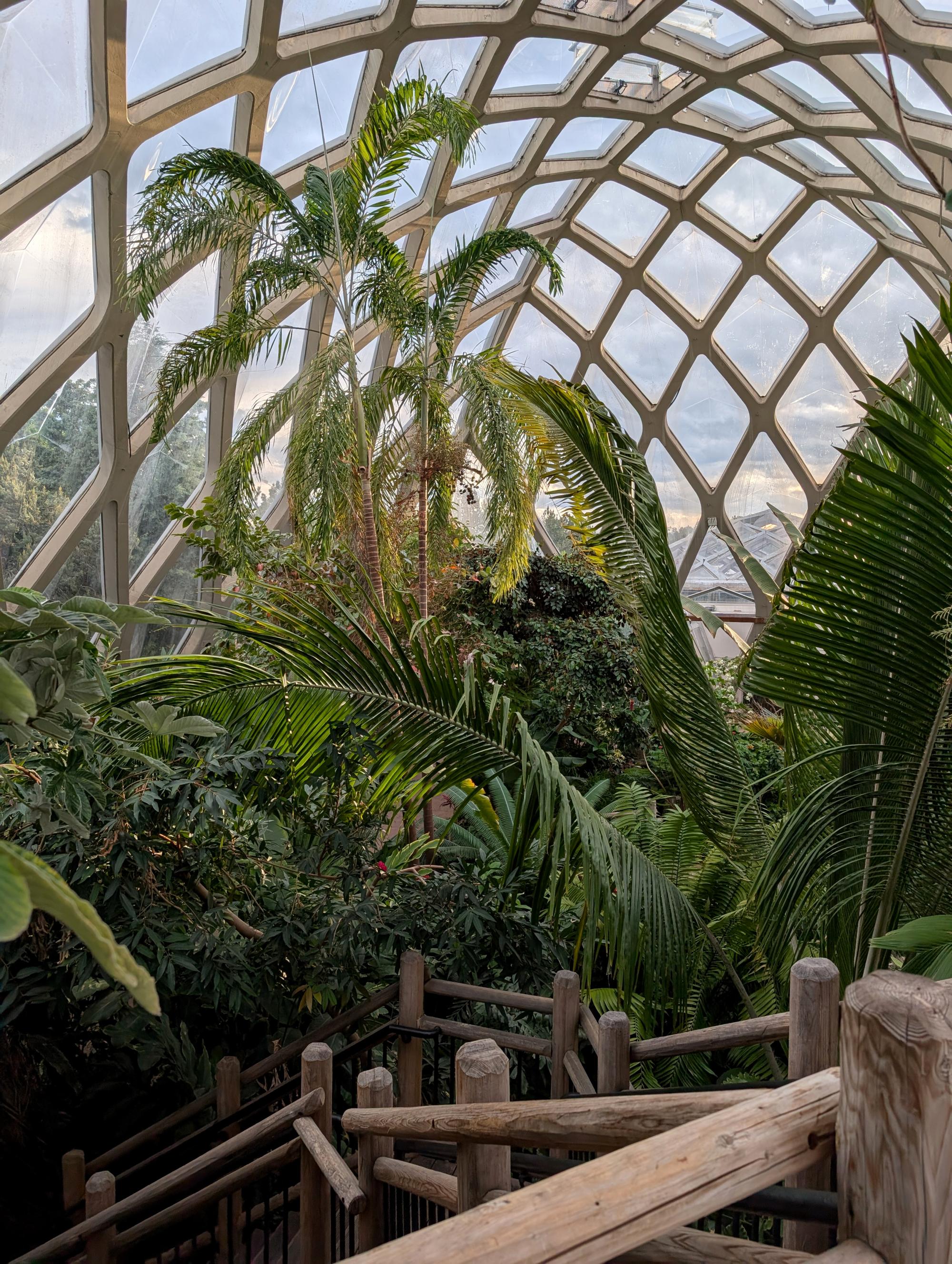 Colorado (2022-Present) - Denver Botanic Gardens #3