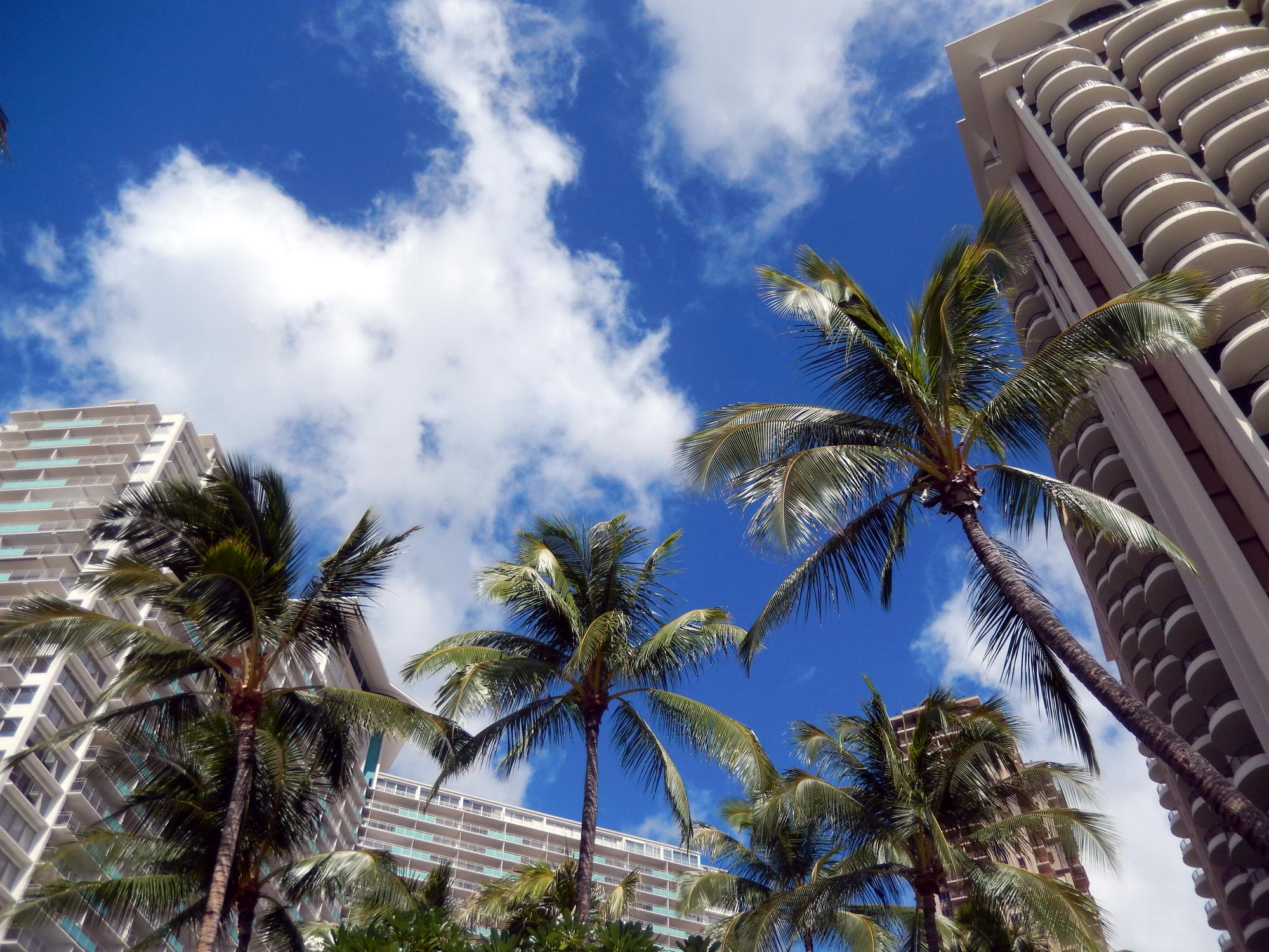 Hawaii - Tropical Blue Sky