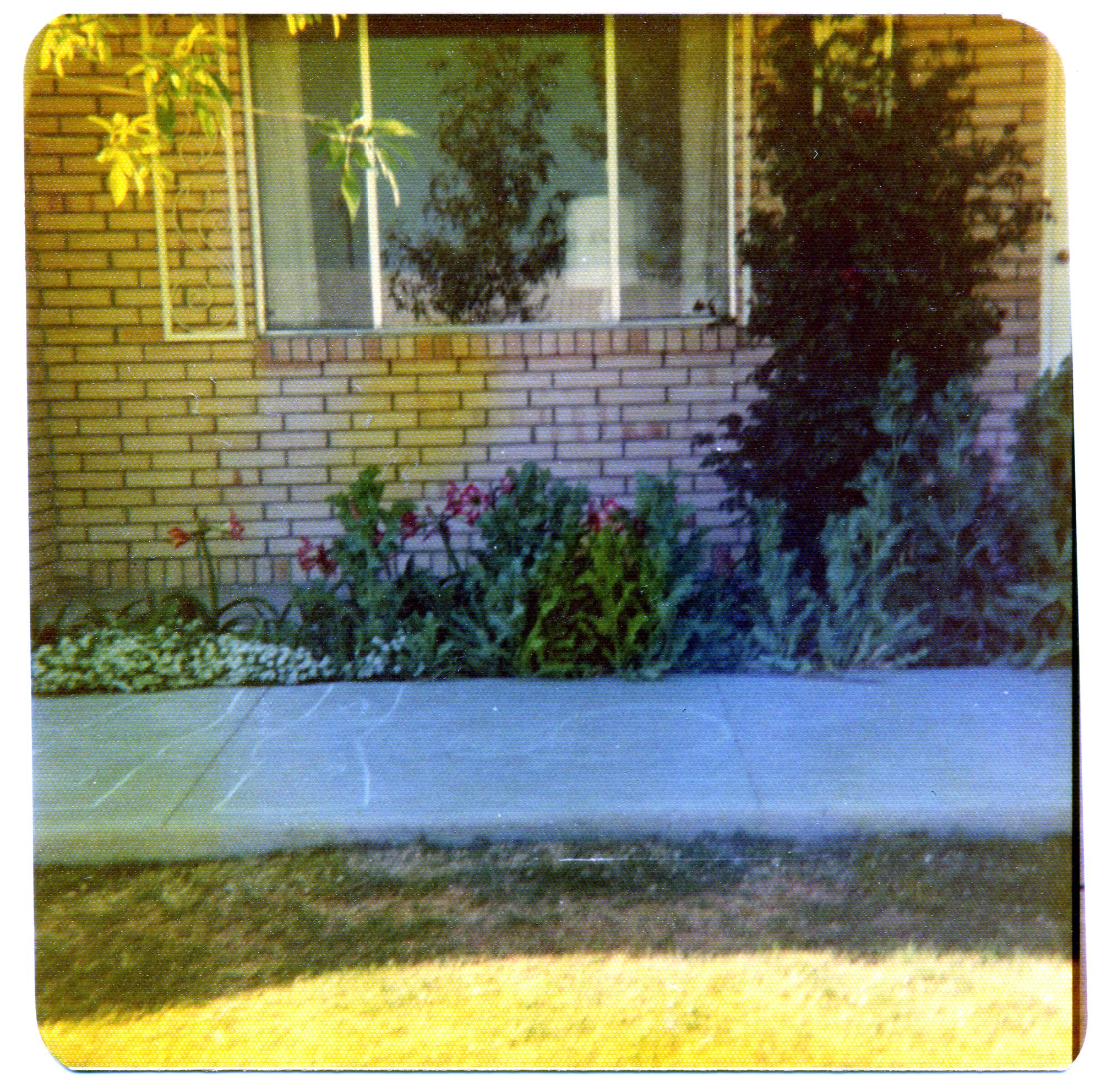 El Paso Texas (1970s) - Flower Beds #1