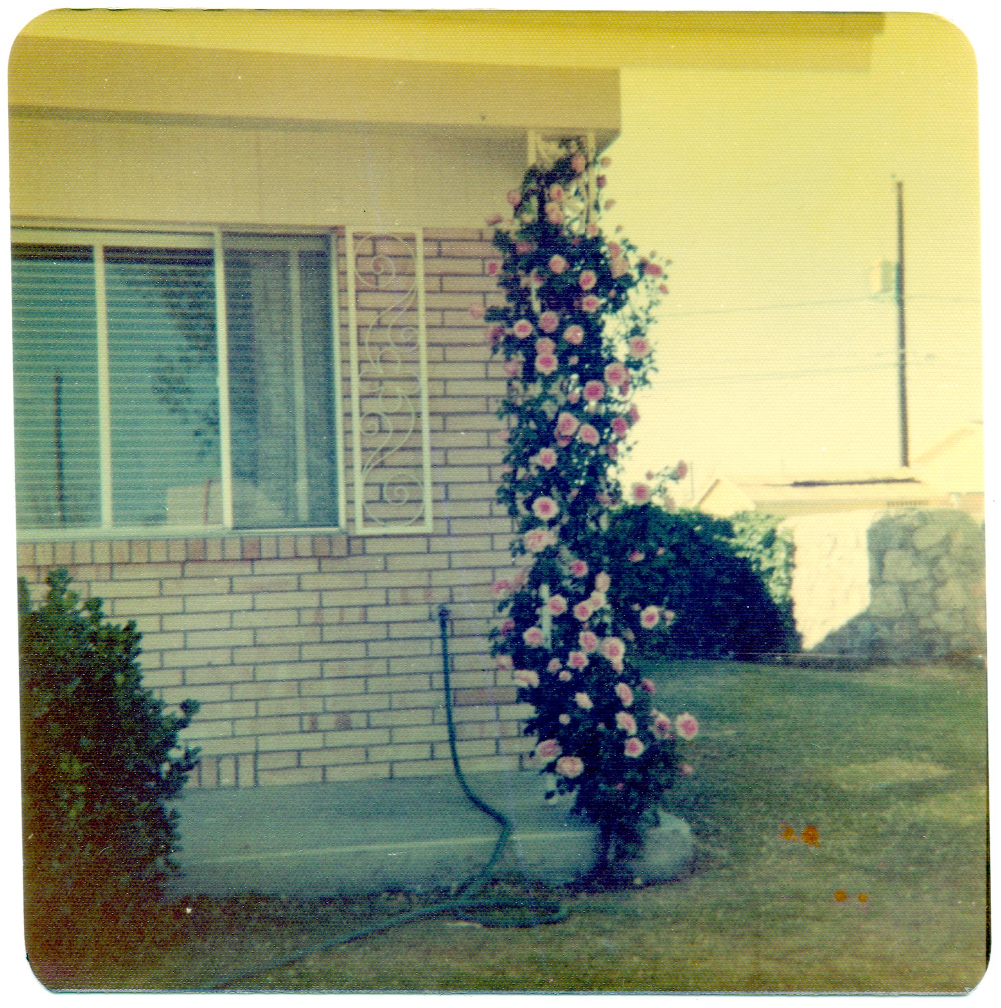 El Paso Texas (1970s) - Roses