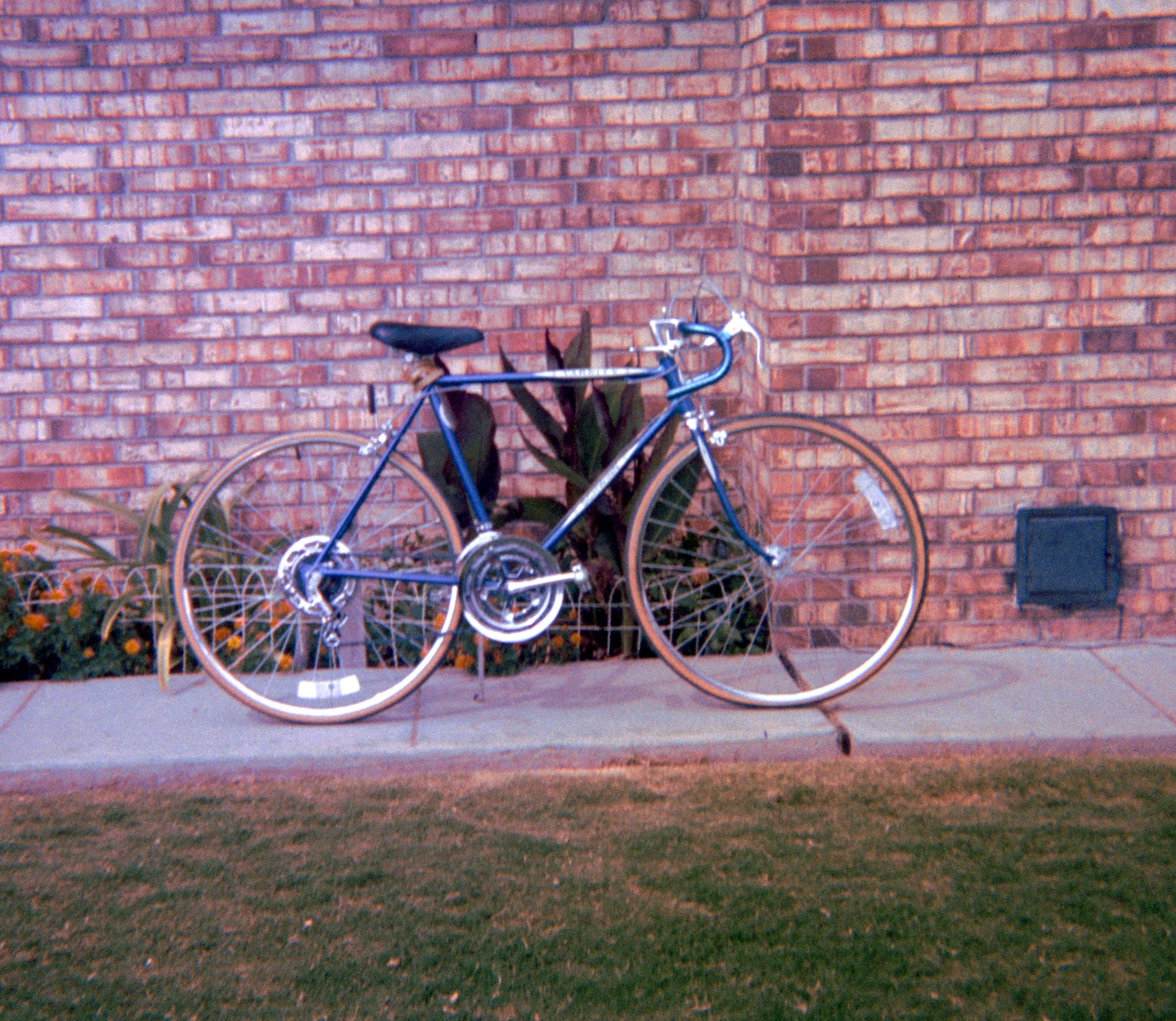 Horizon City - Schwinn Bike