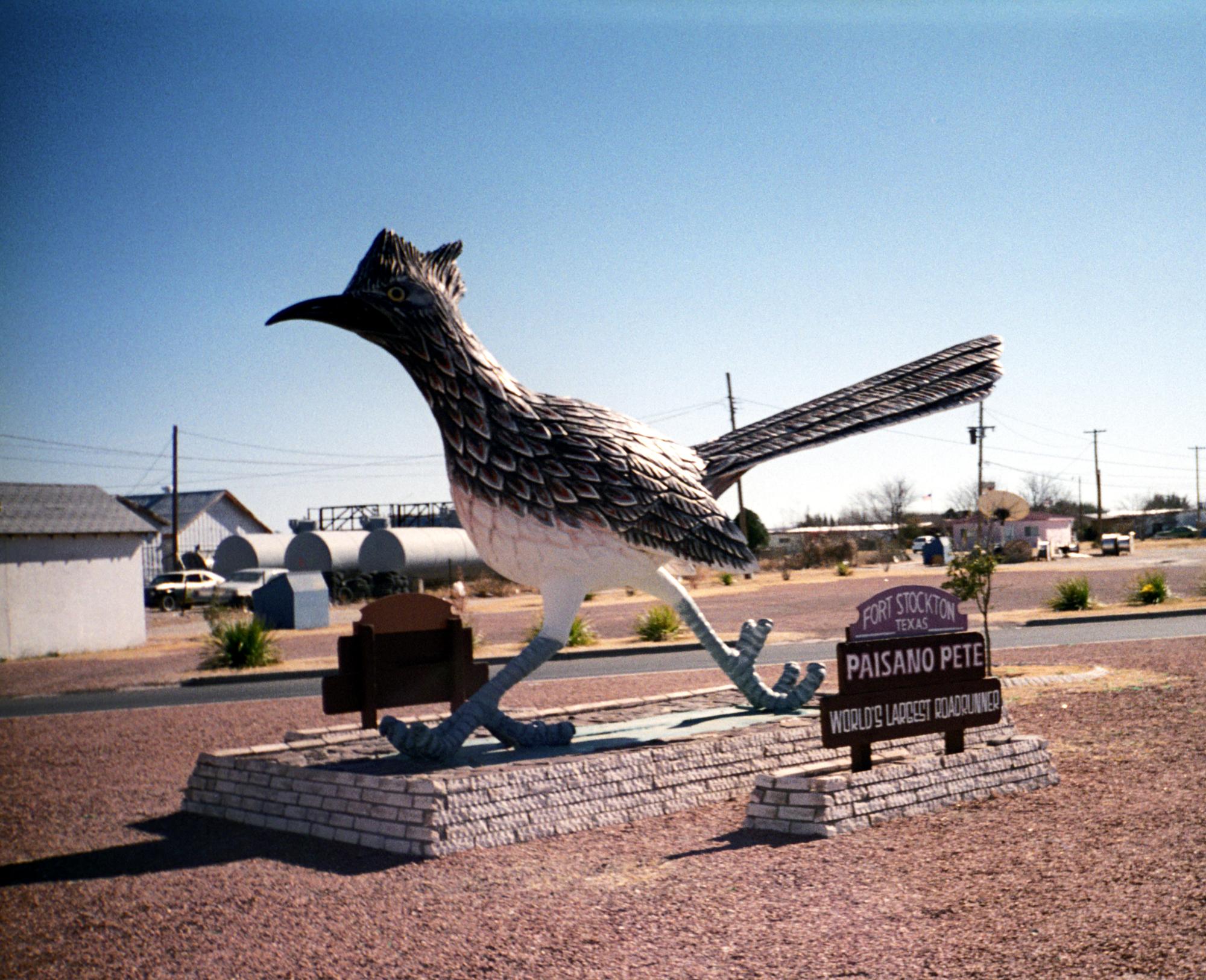Texas Places - Road Runner