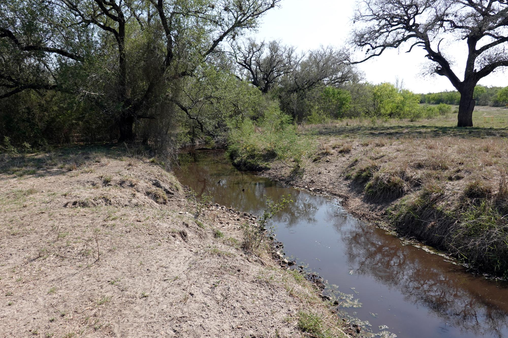 Pleasanton Texas - Near Pleasanton #6