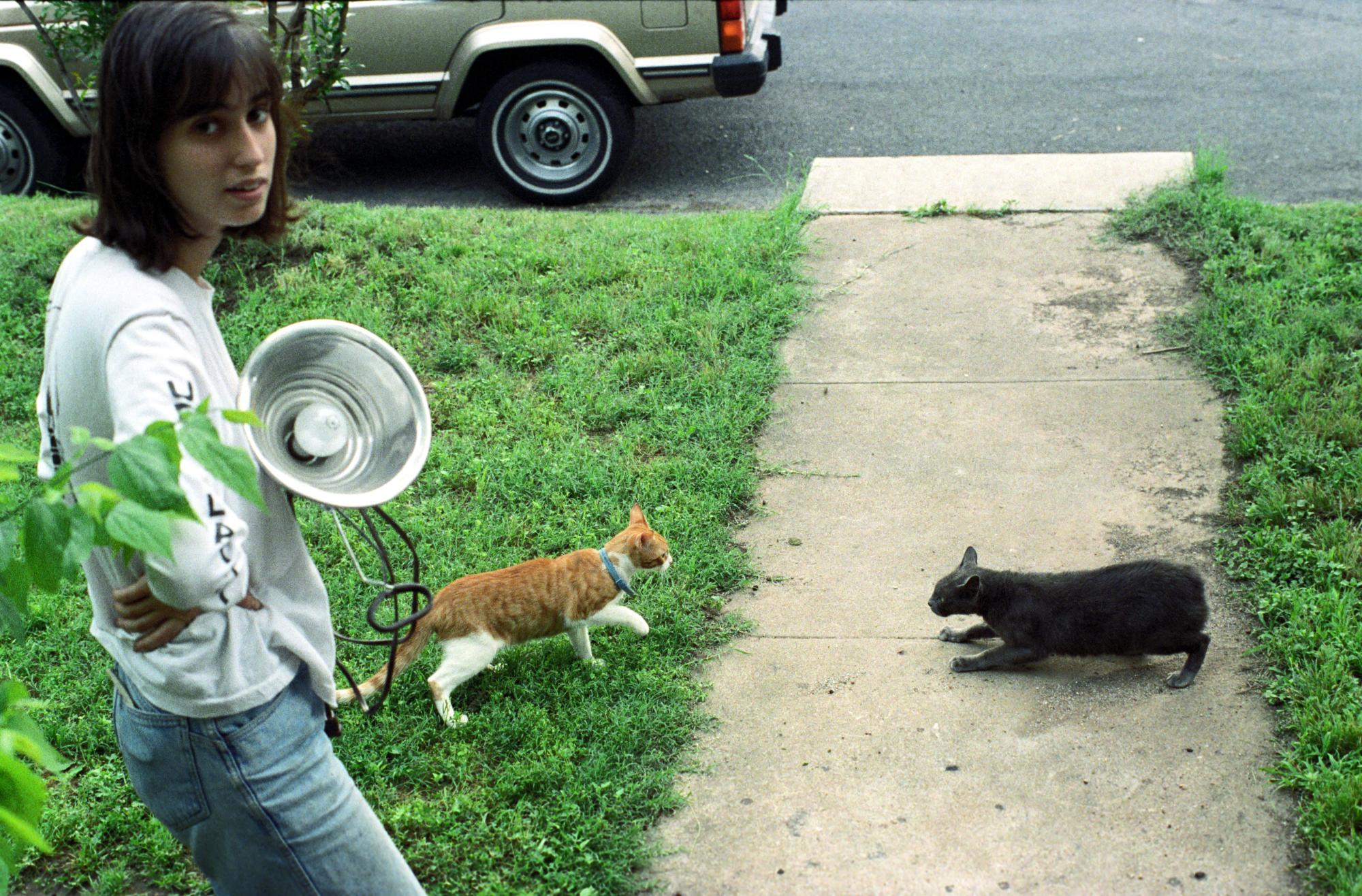 UT Austin - Cat Standoff
