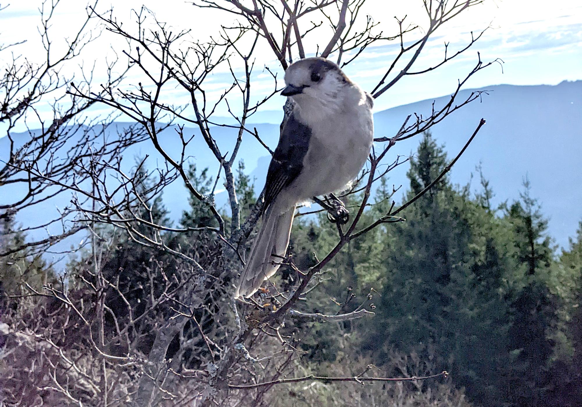 Mount Si - Mt Si #2