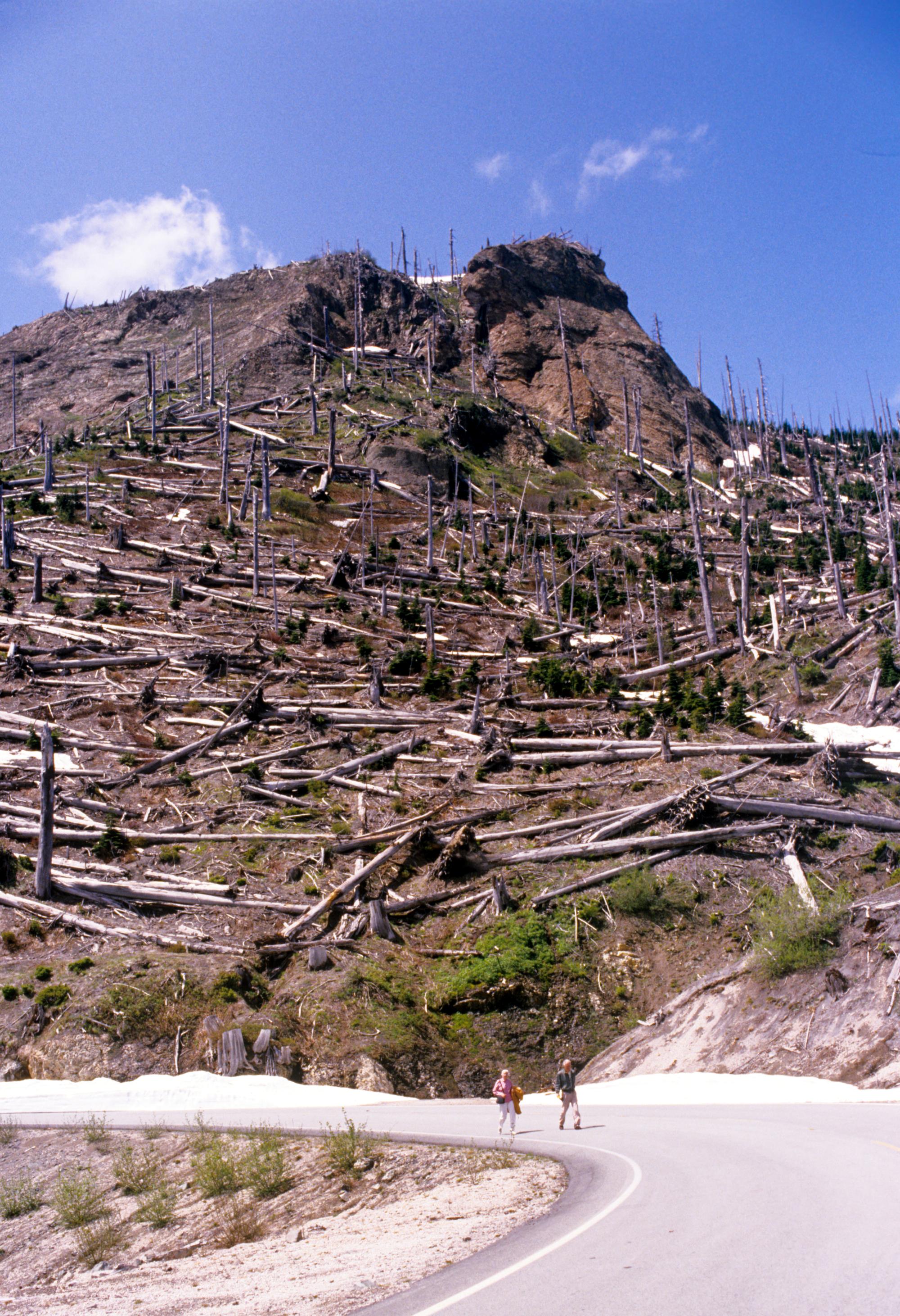 Mount Saint Helens - Debris #3