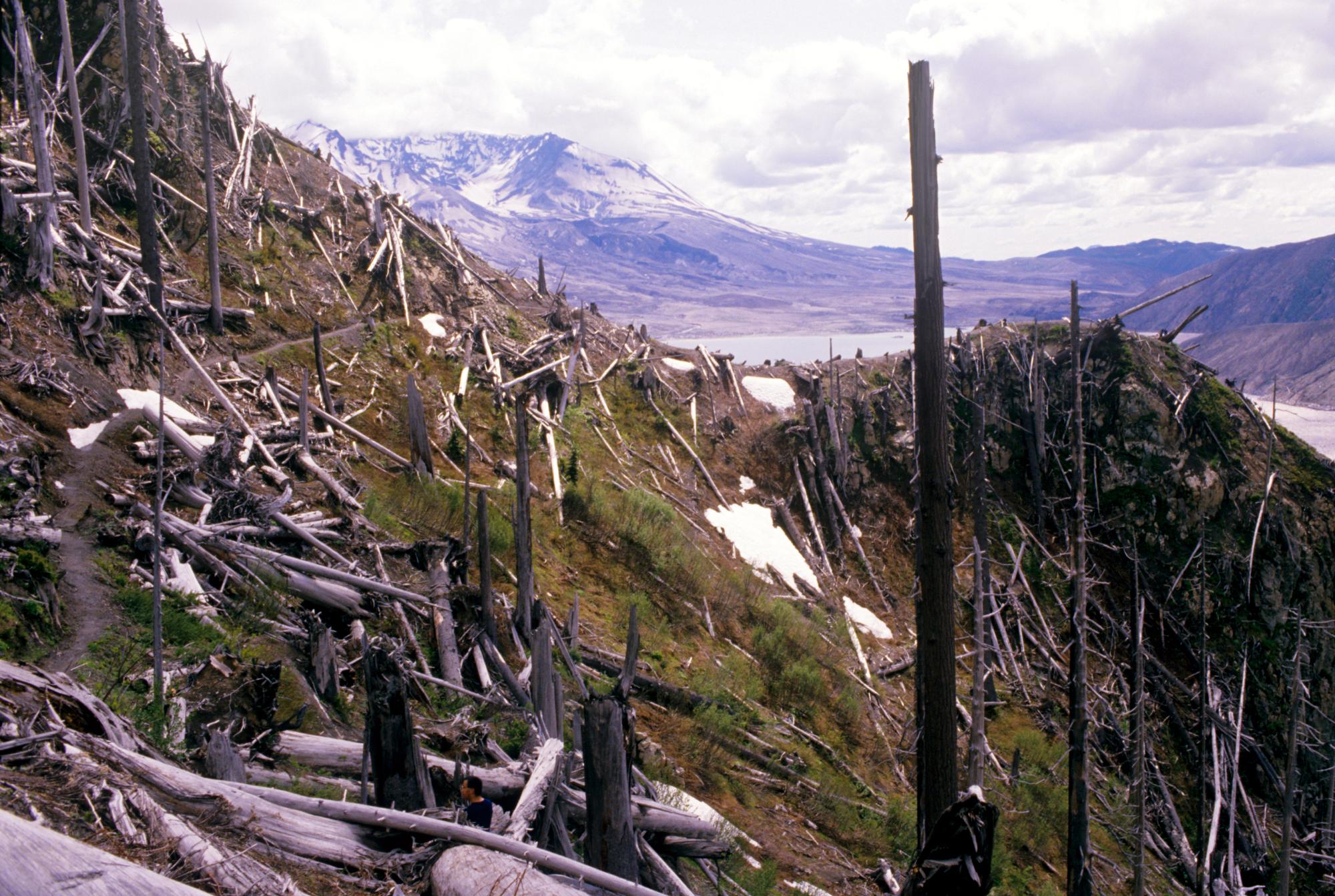 Mount Saint Helens - Debris #4