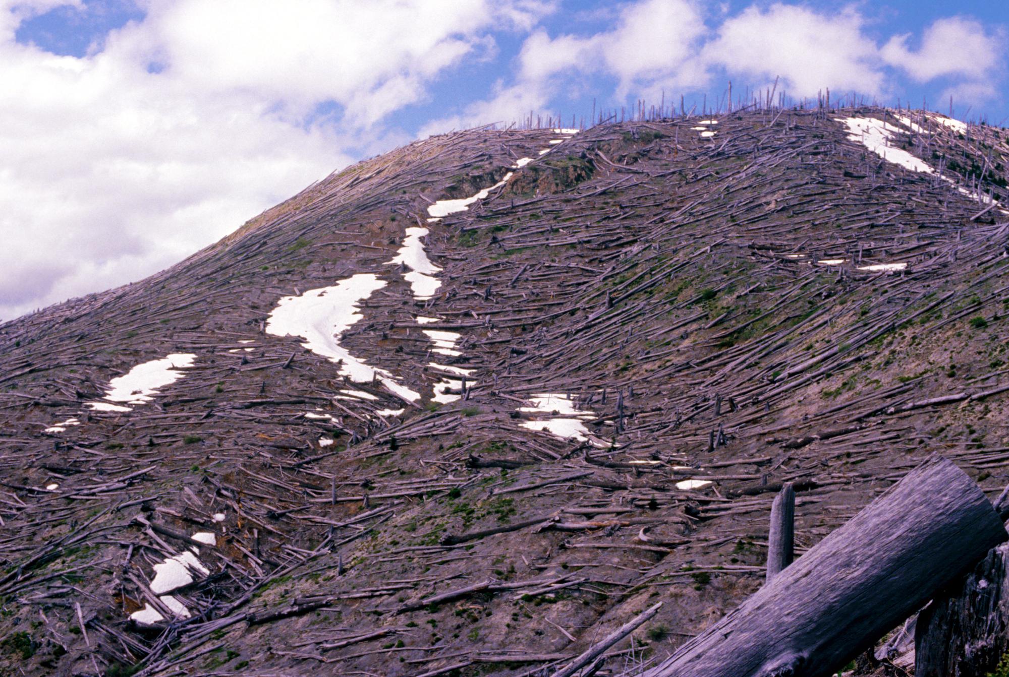 Mount Saint Helens - Debris #5
