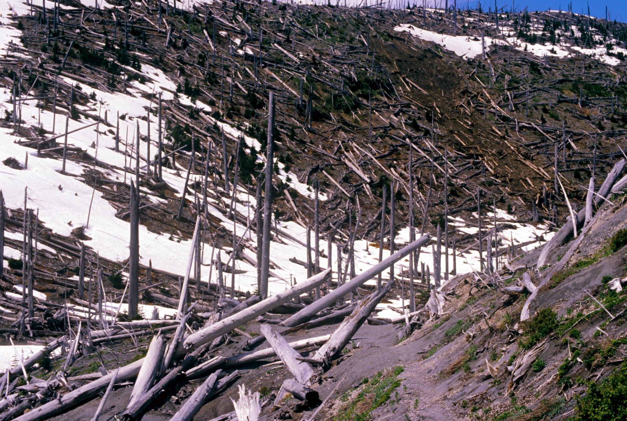 Mount Saint Helens - Debris #8