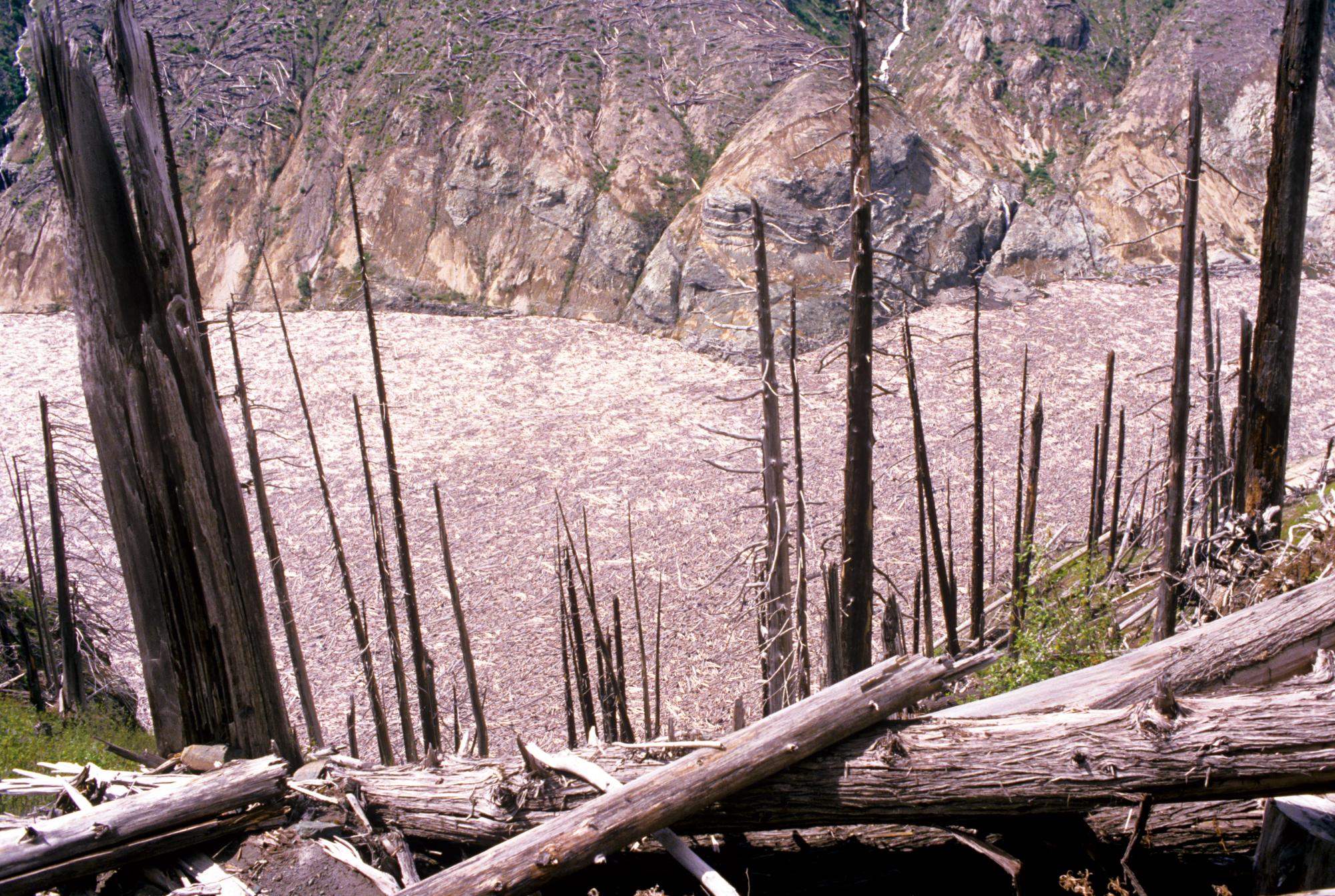 Mount Saint Helens - Lake Debris #2