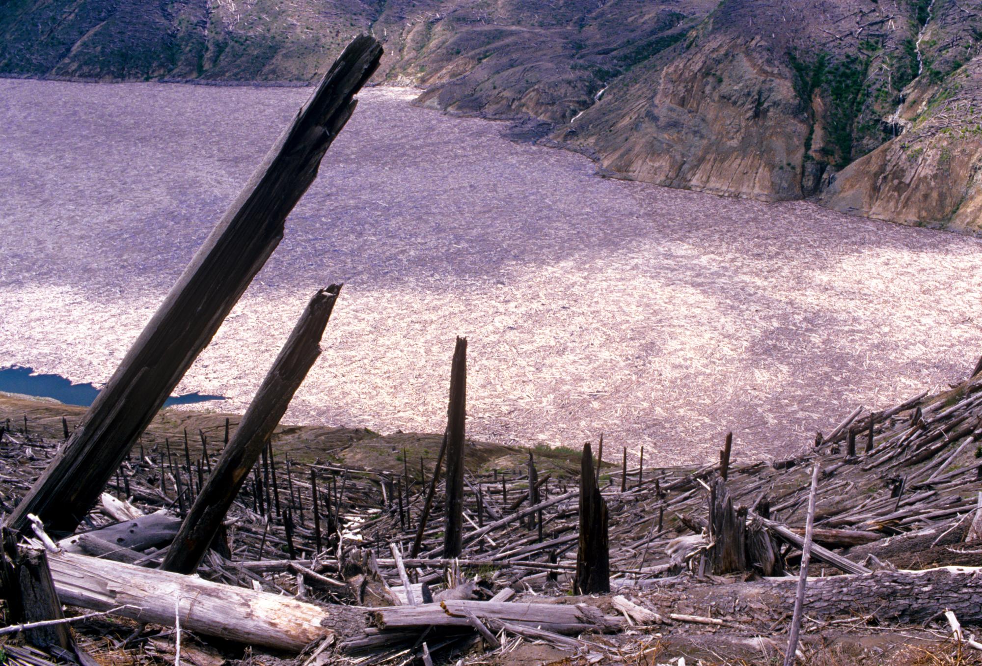 Mount Saint Helens - Lake Debris #3