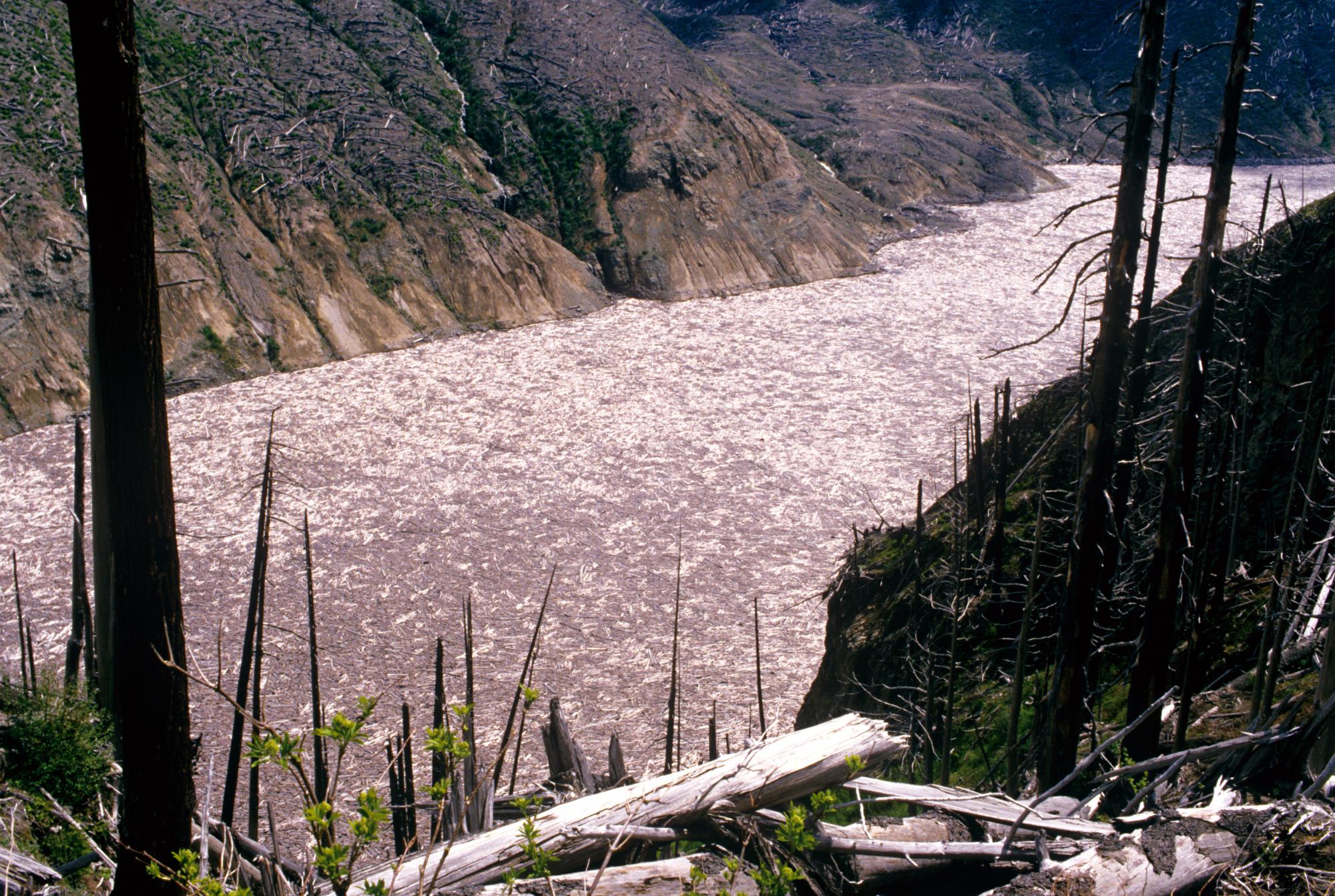 Mount Saint Helens - Lake Debris #5