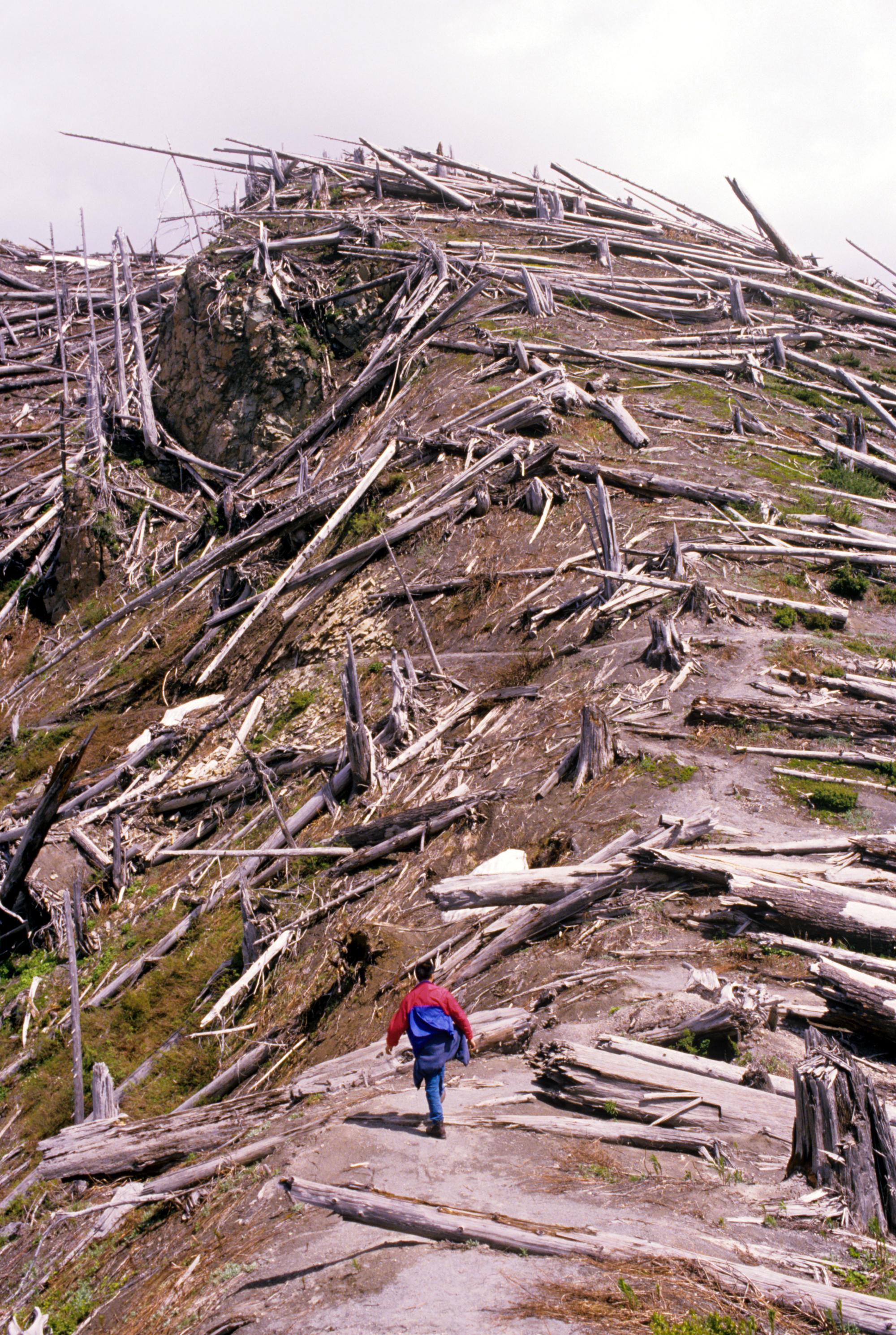 Mount Saint Helens - Trail #10