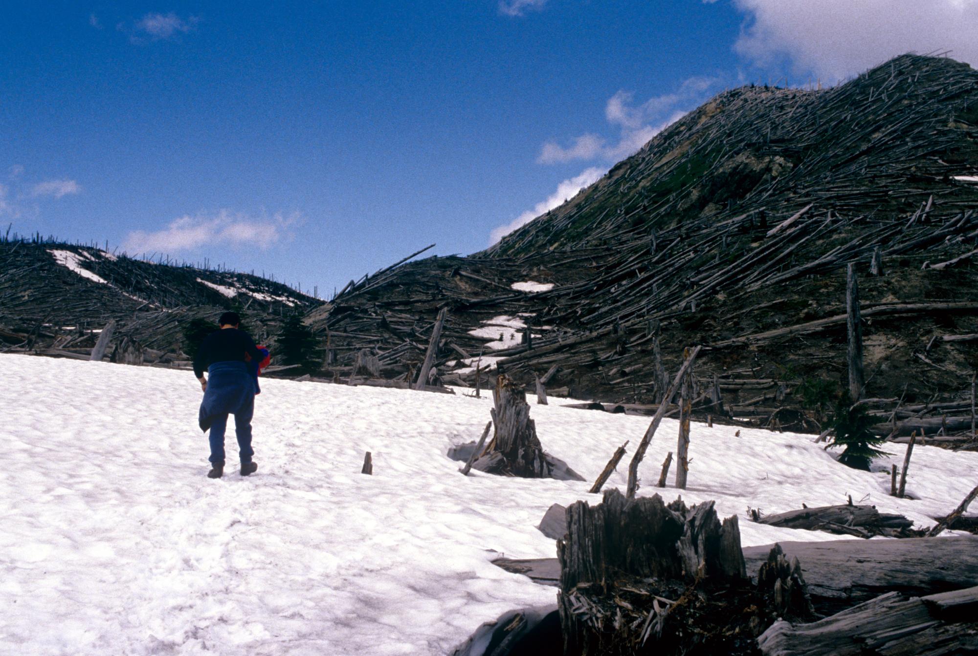Mount Saint Helens - Trail #2