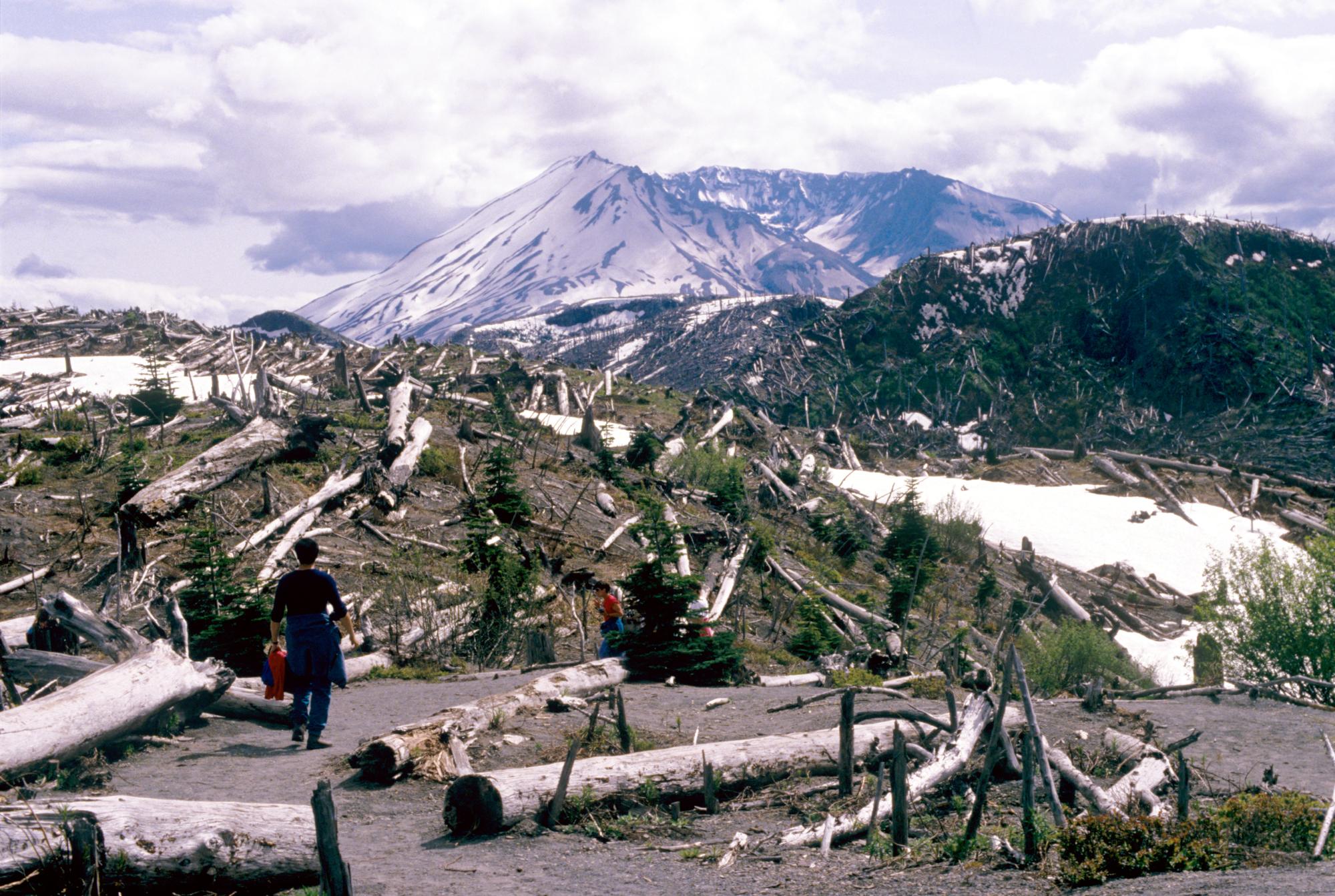 Mount Saint Helens - Trail #5