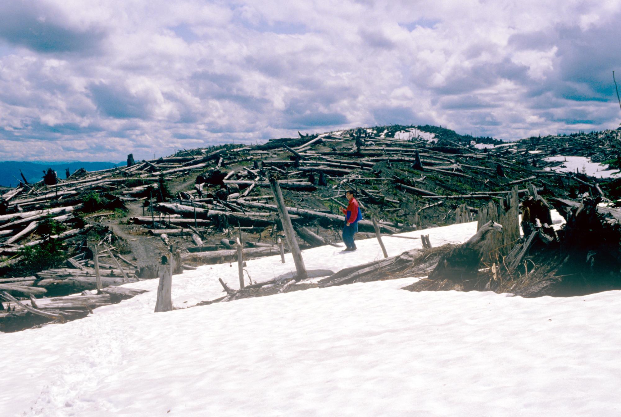 Mount Saint Helens - Trail #6