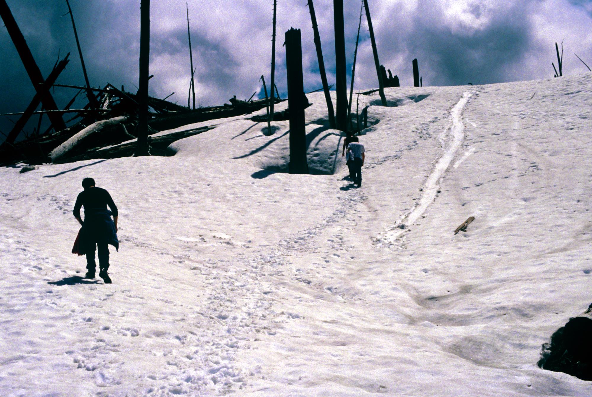 Mount Saint Helens - Trail #7