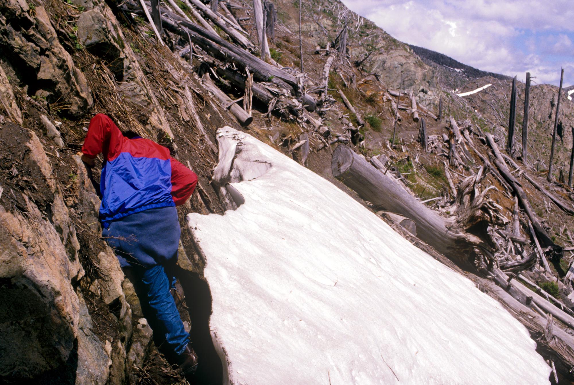 Mount Saint Helens - Trail #8