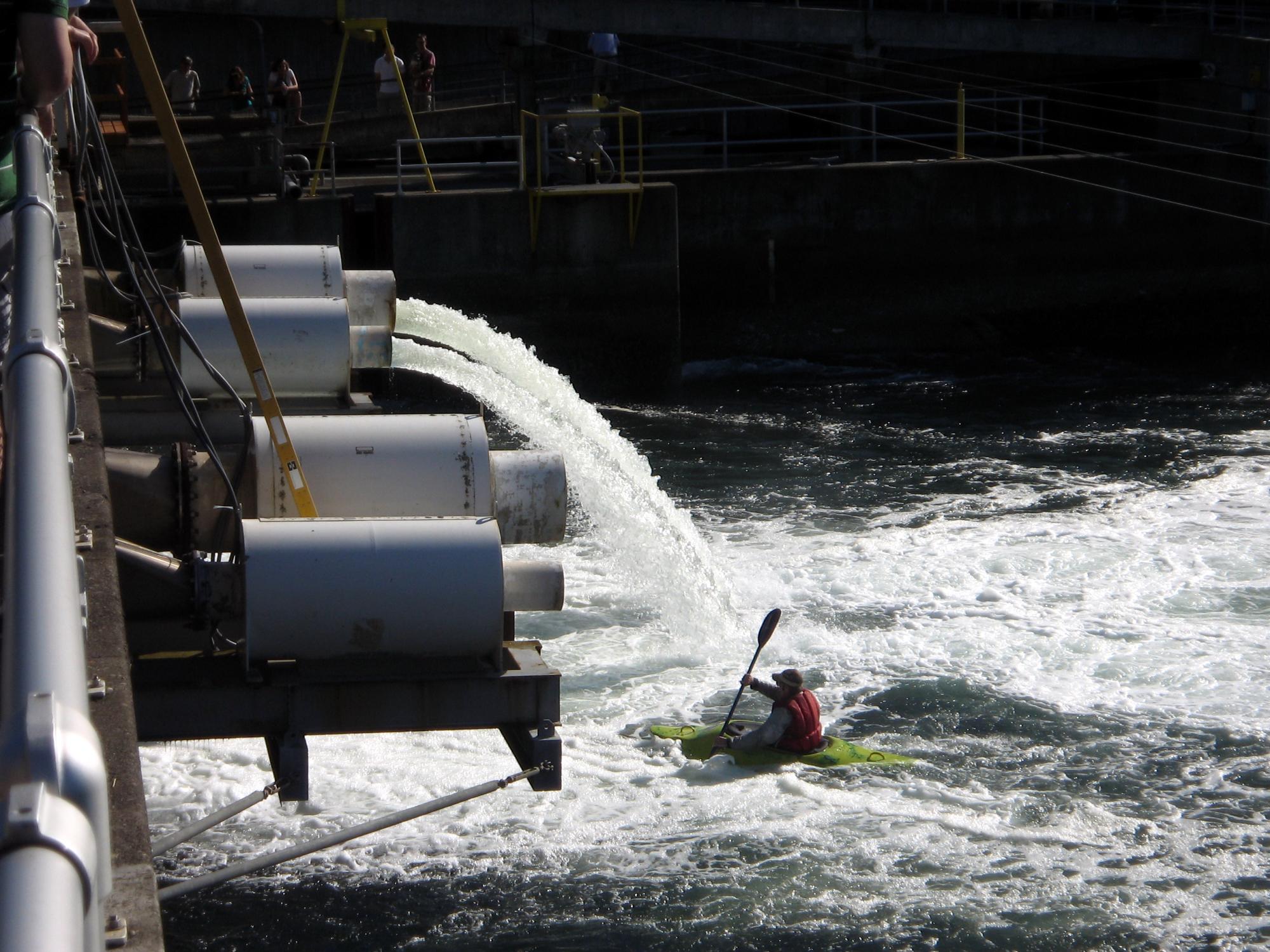 Seattle (2010-2019) - Kayak At The Locks #2