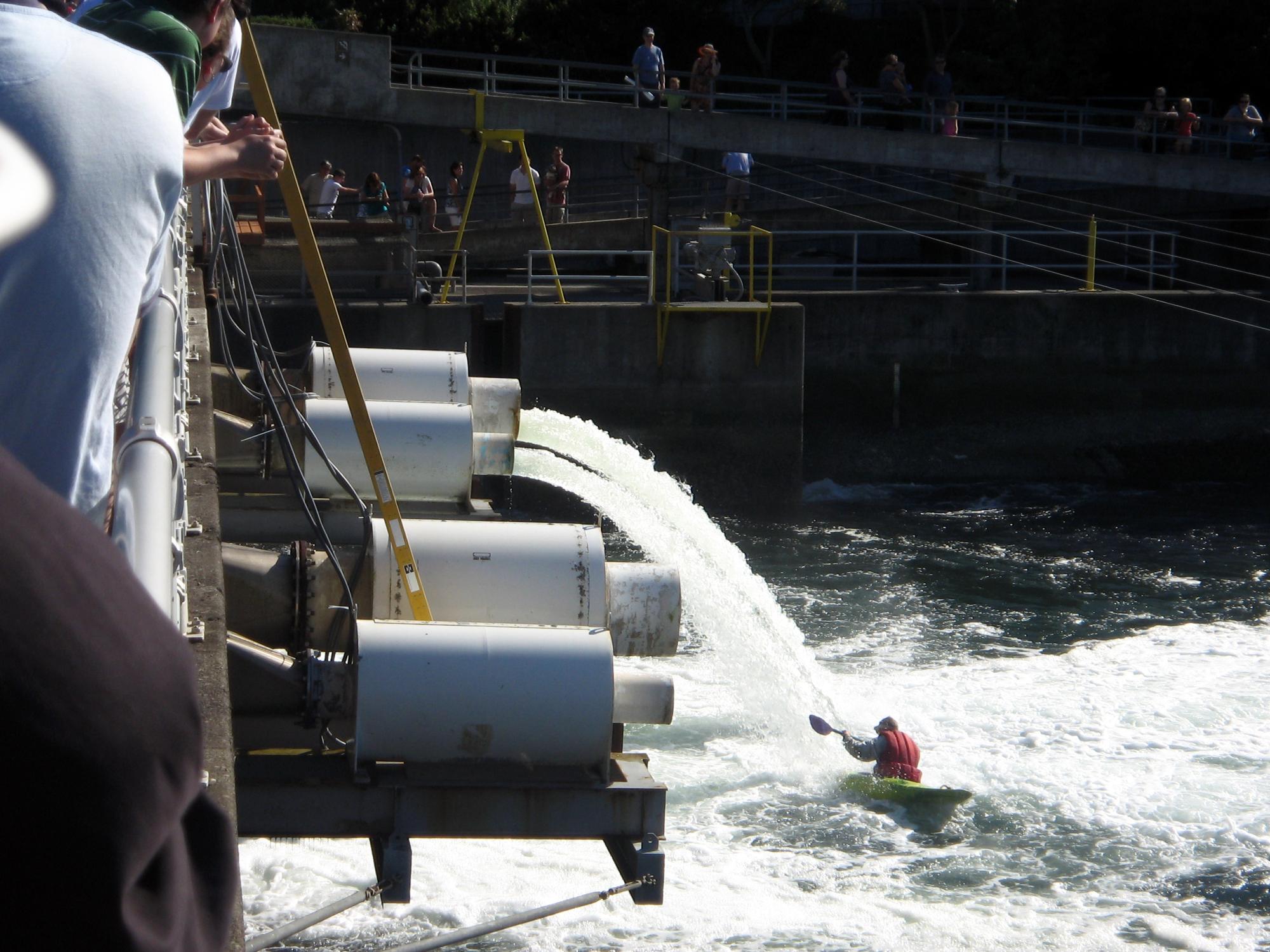 Seattle (2010-2019) - Kayak At The Locks #3
