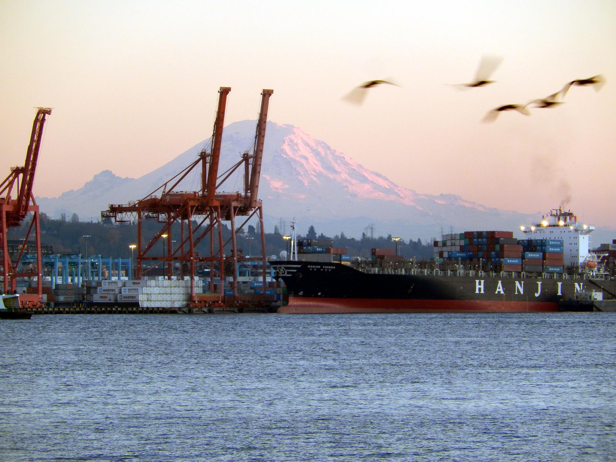 Seattle (2010-2019) - Mt Rainier