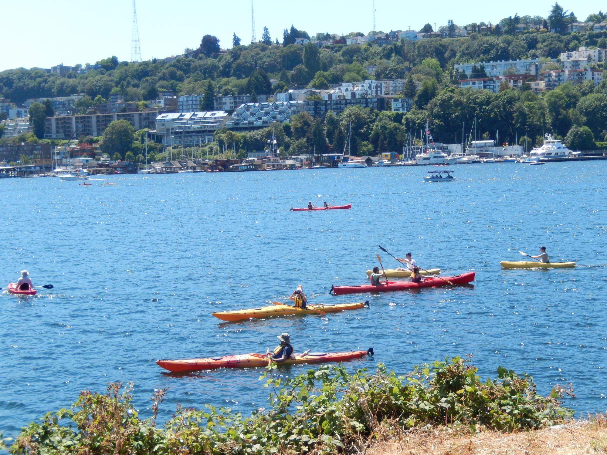 Seattle (2010-2019) - Kayaks On Lake Union