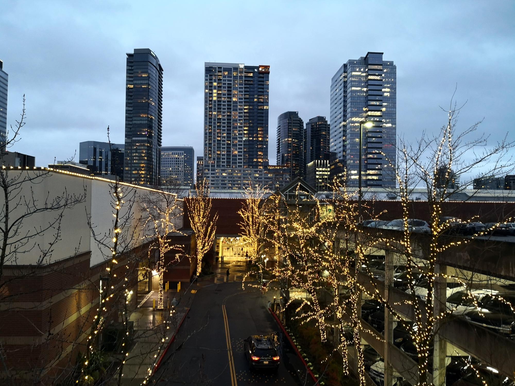 Seattle (2010-2019) - Christmas Lights Bellevue