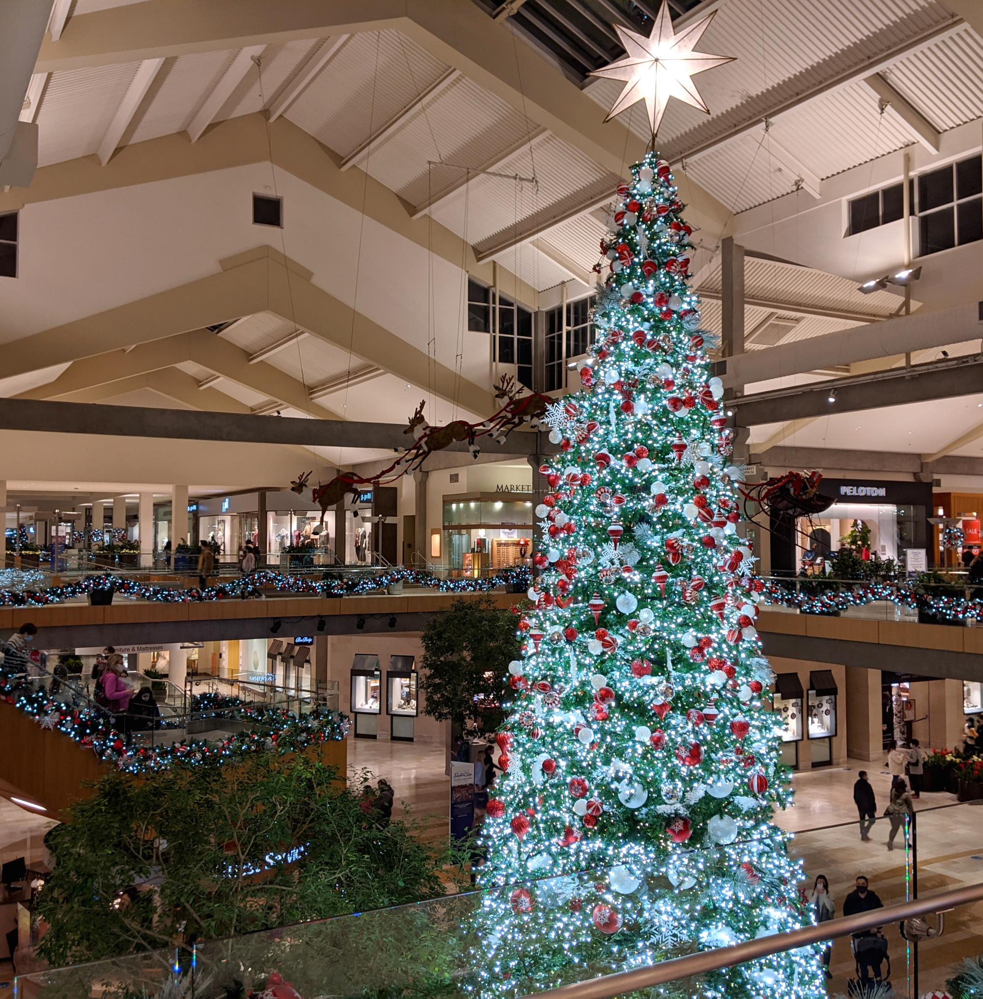 Seattle (2020-Present) - Christmas At The Mall #1