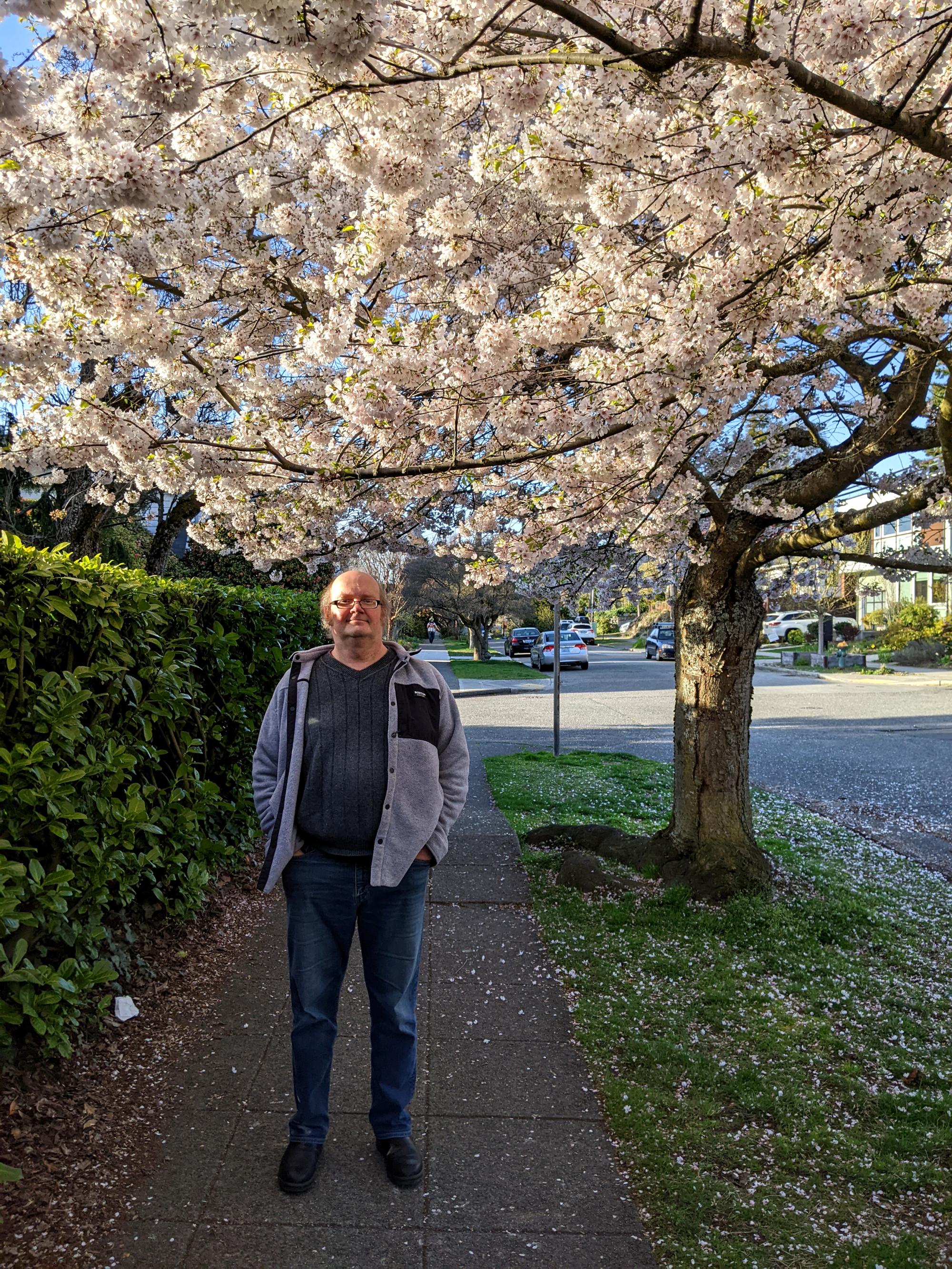 Seattle (2020-Present) - Cherry Blosssoms