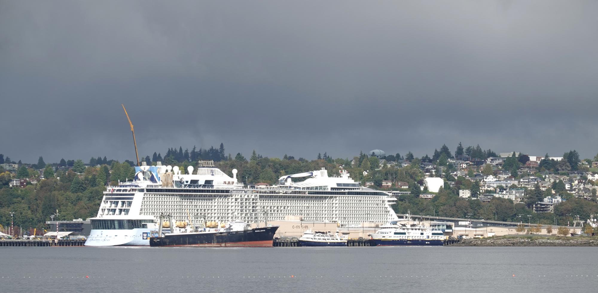 Seattle (2020-Present) - Magnolia